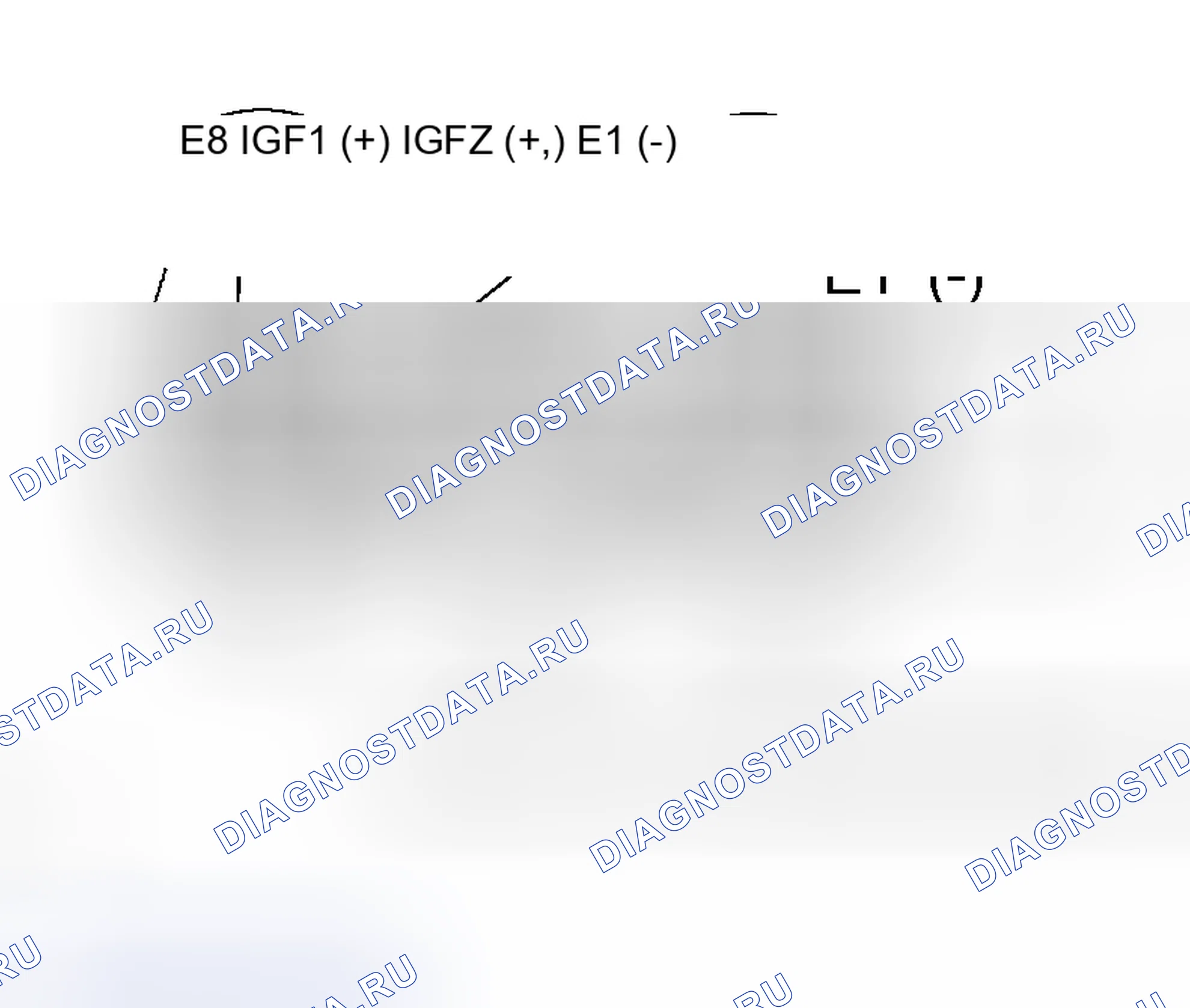 Рис. 210. Haval Xiaolong Max I