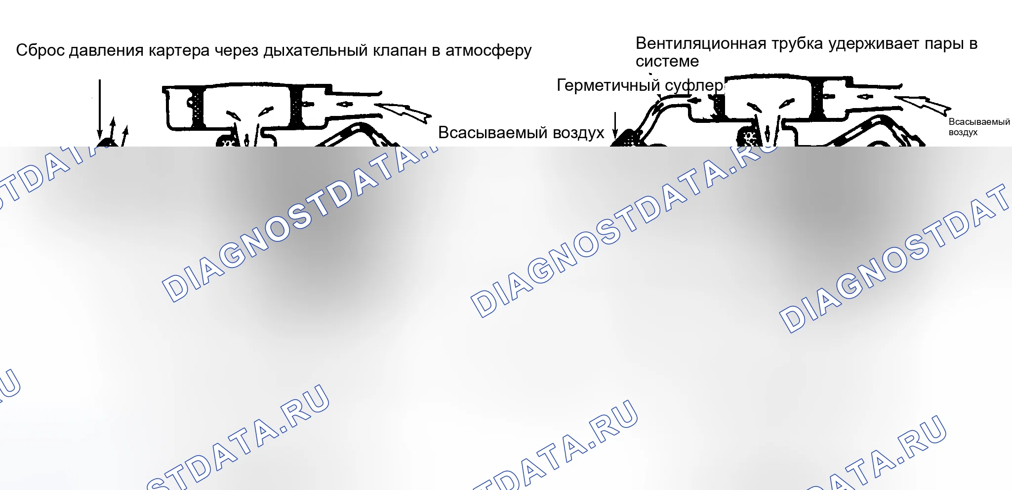 Рис. 2: Типовая система принудительная вентиляция картера (PCV) (принудительная вентиляция картера) открытого и закрытого типа. Hyundai IONIQ 6 I