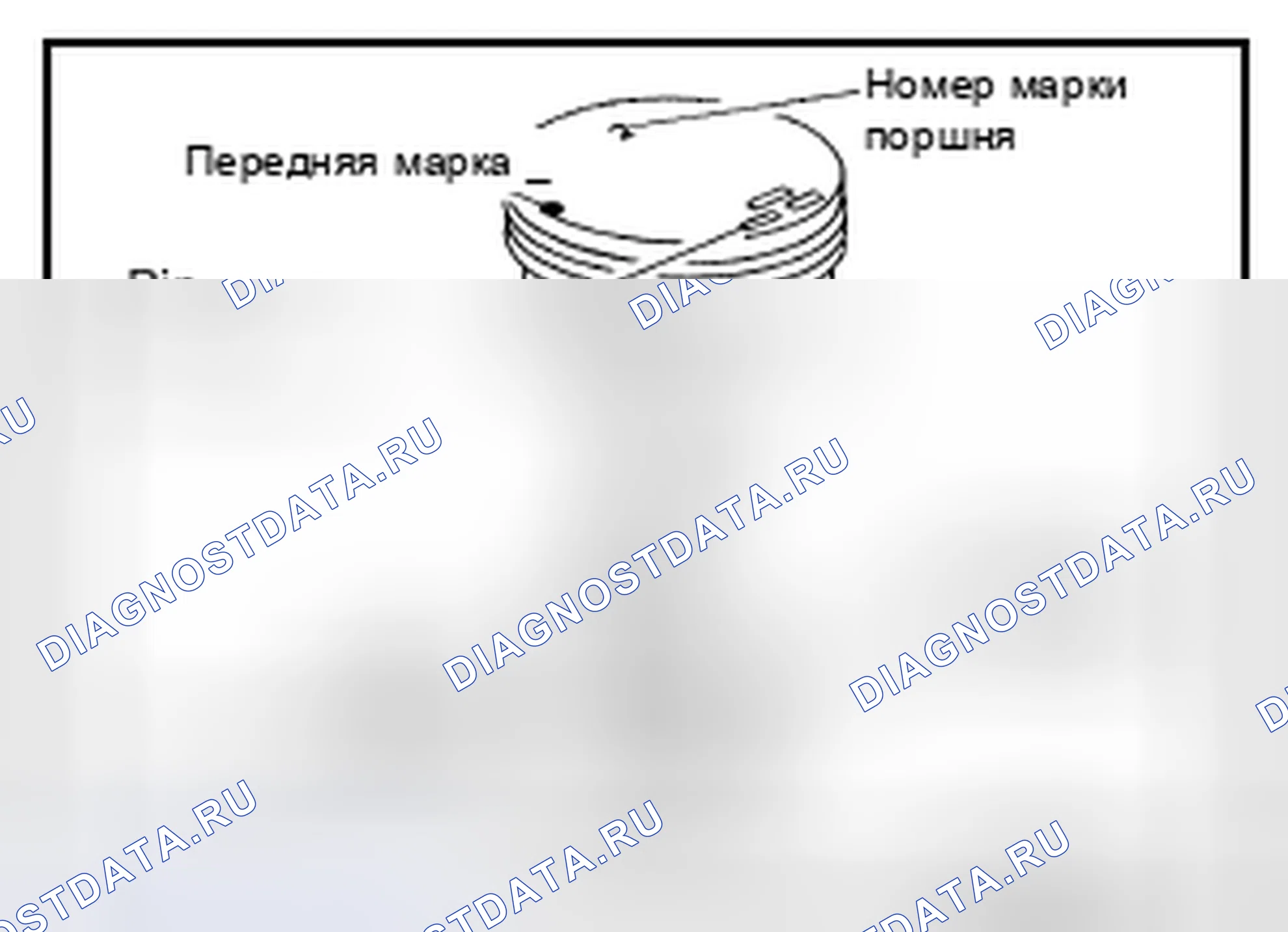 Рис. 505. Nissan Murano Z51 рестайлинг 2