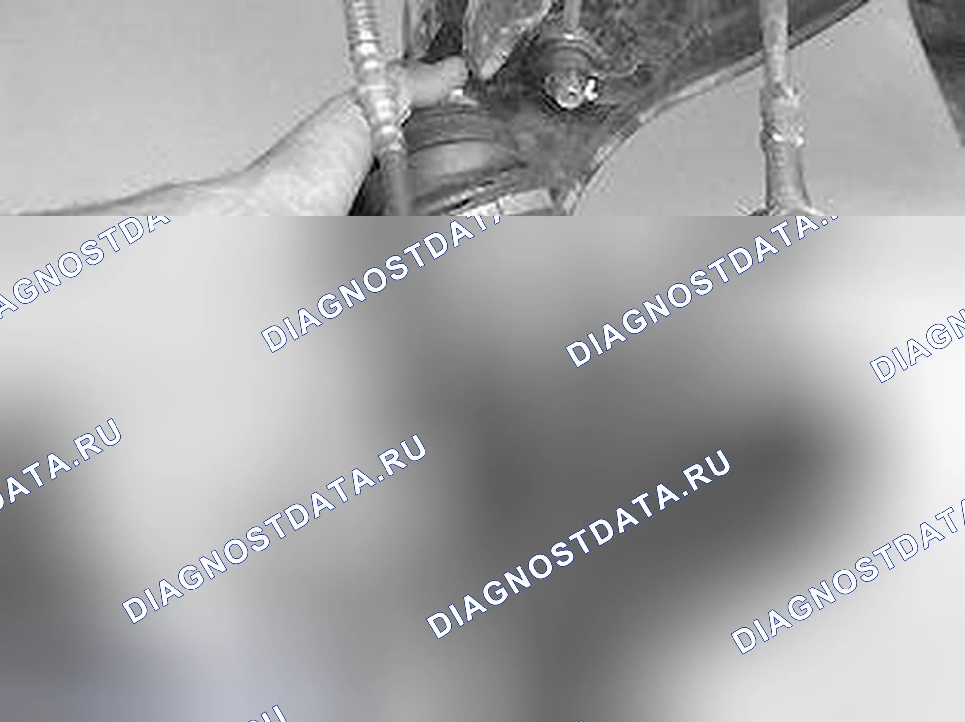 Рис. 11: Вал привода, демонтаж. Volvo S40 I рестайлинг