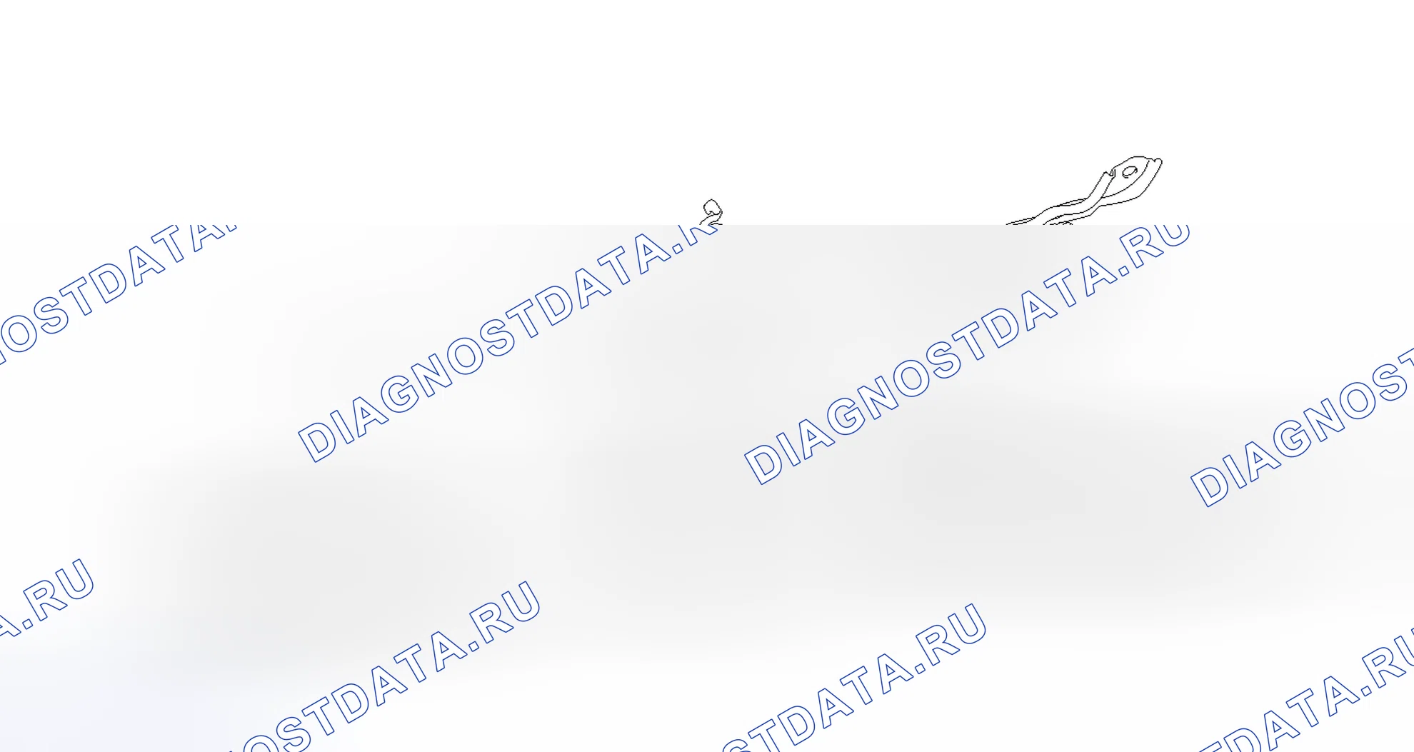Рис. 49: ИЛЛЮСТРАЦИЯ. Haval H3 I