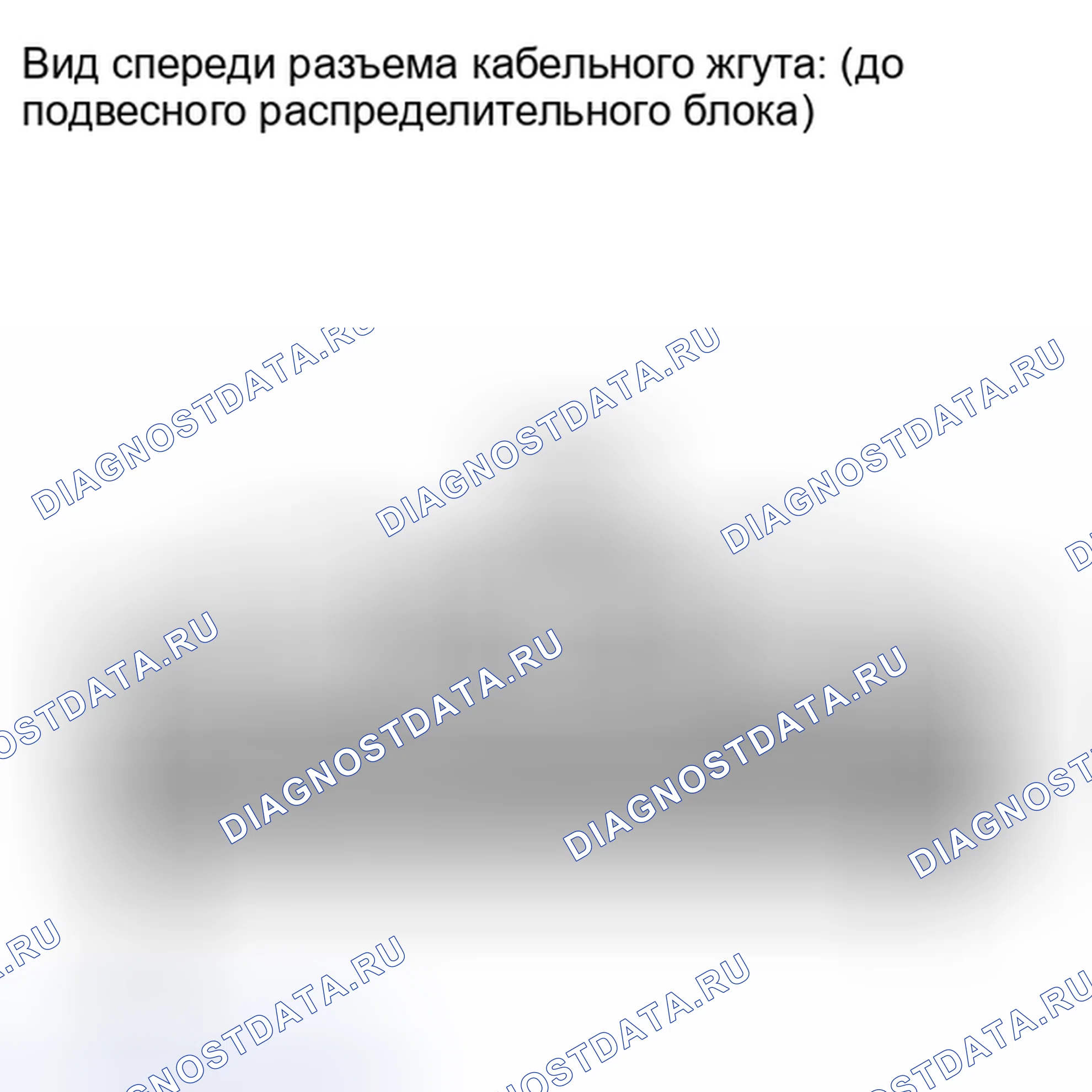 Рис. 131. Lexus IS F I