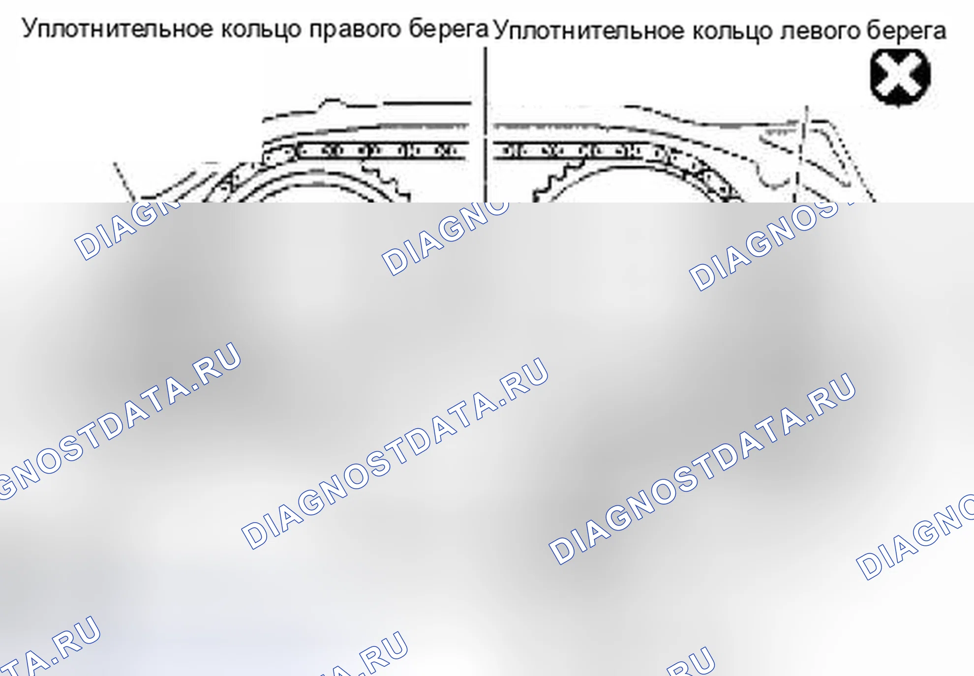 Рис. 310. Suzuki Equator I