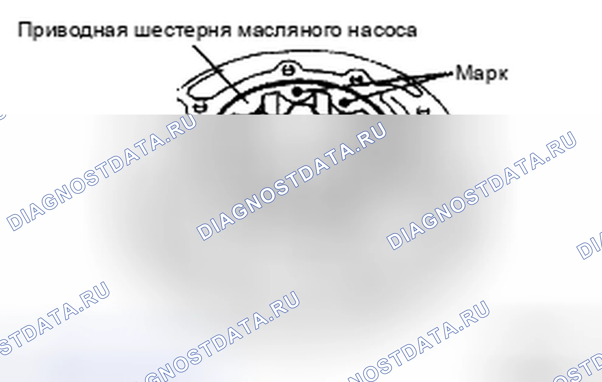 Рис. 418. Toyota Camry XV40