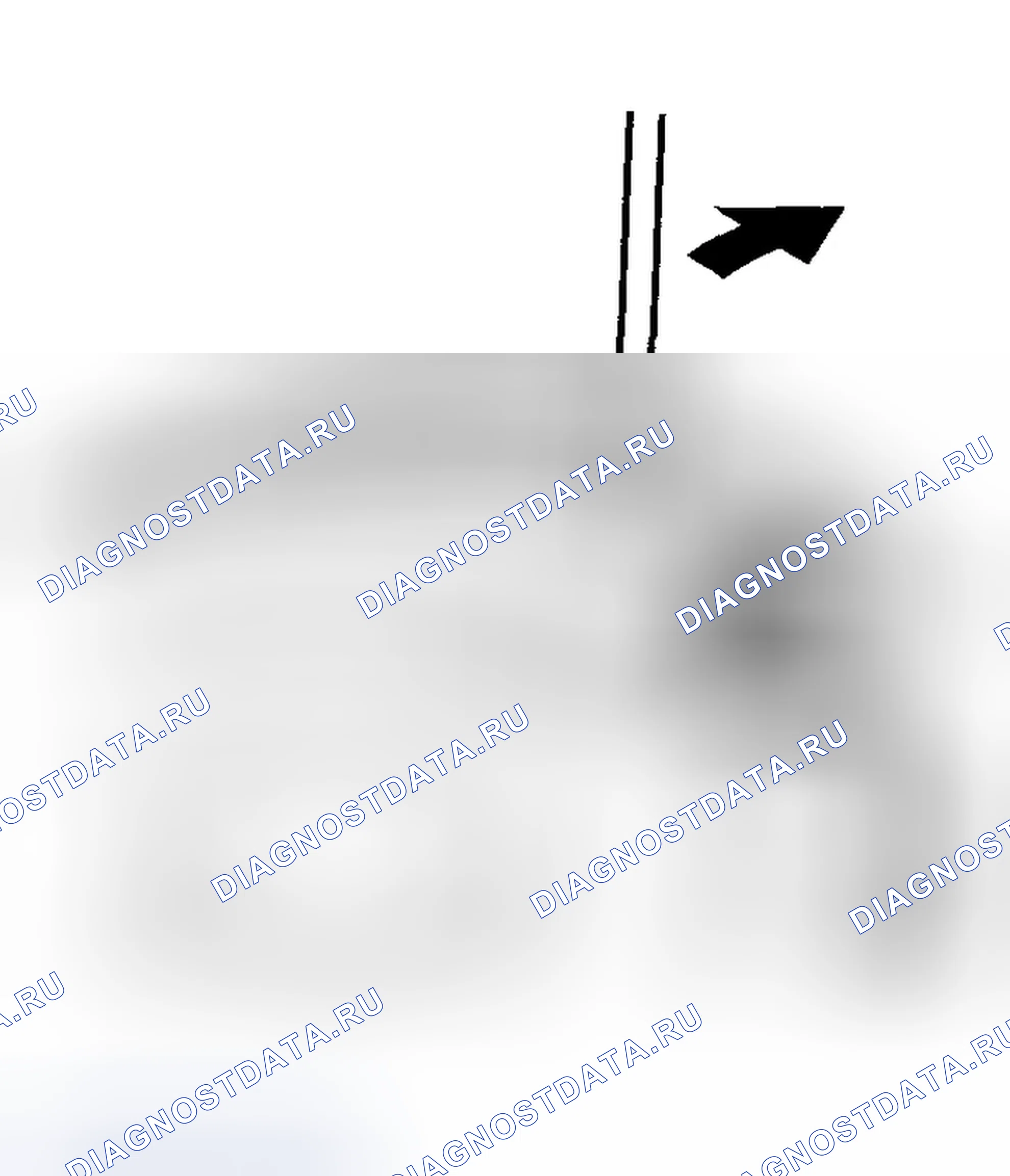 Рис. 310. Honda Element YH2