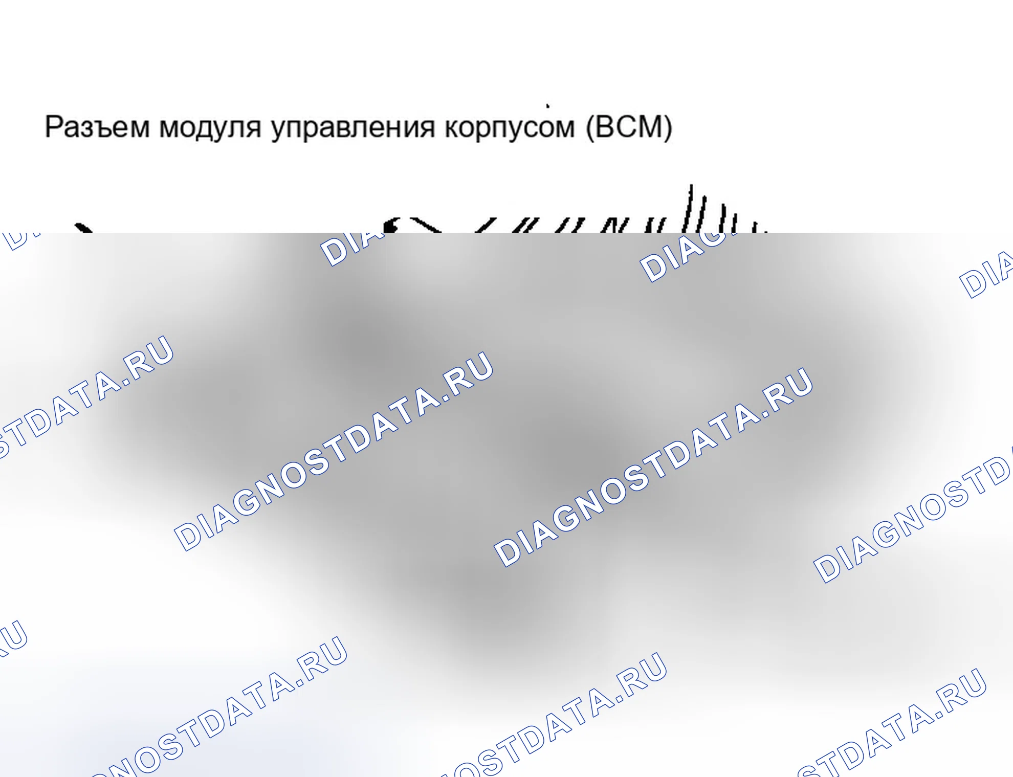 Рис. 1: Идентификация разъемов BCM (Bone или Gray). Chrysler Concorde I