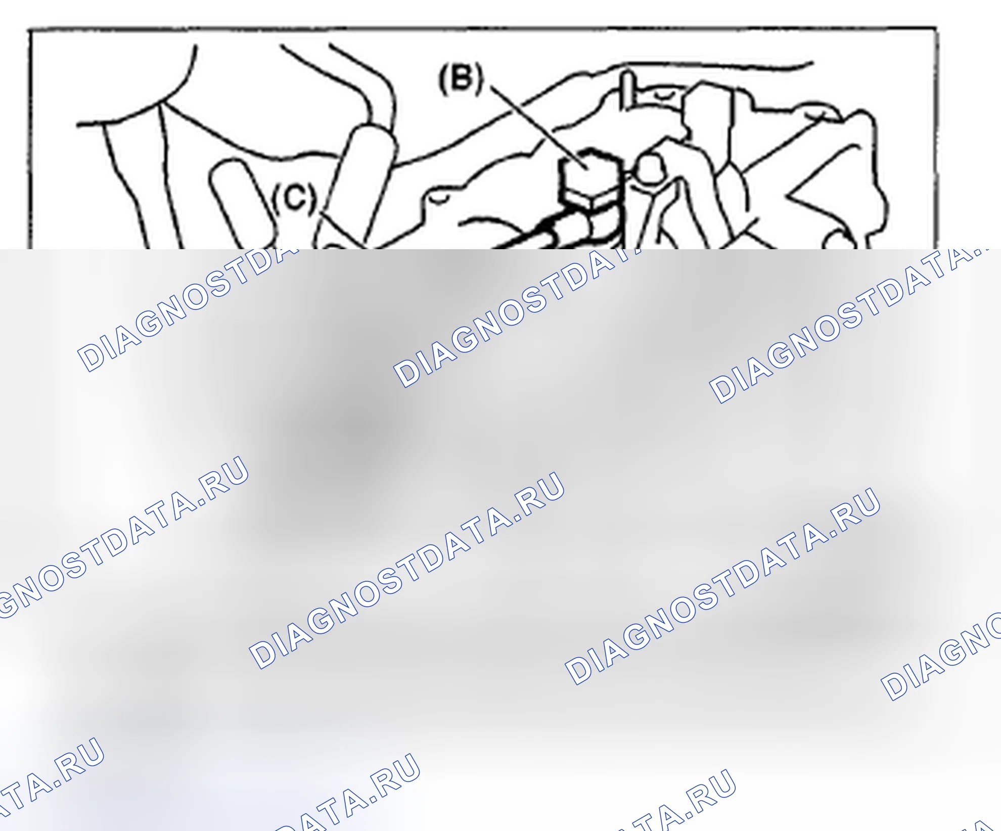 Рис. 653. Subaru Impreza GH