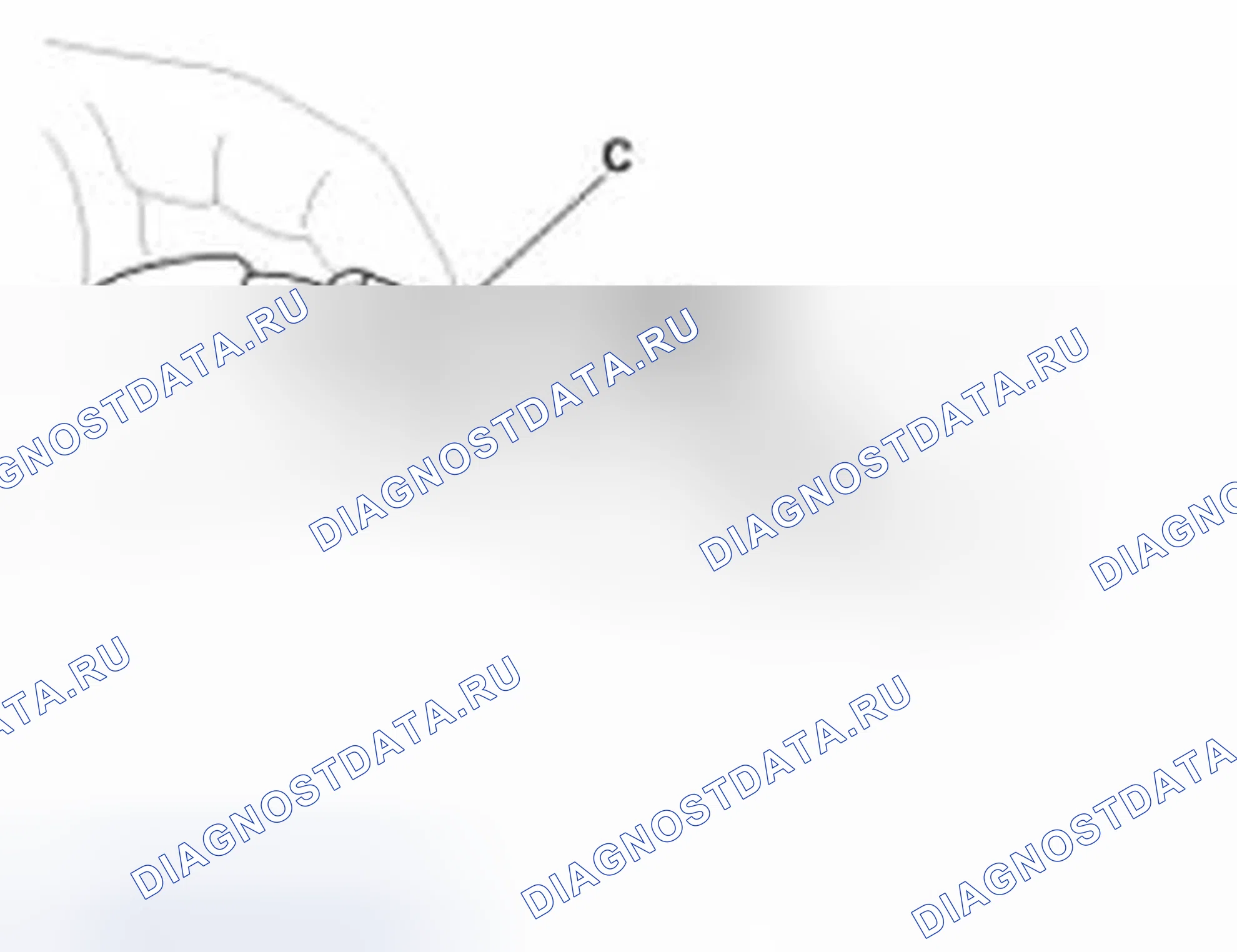 Рис. 191: Подключение. Hyundai Sonata VI