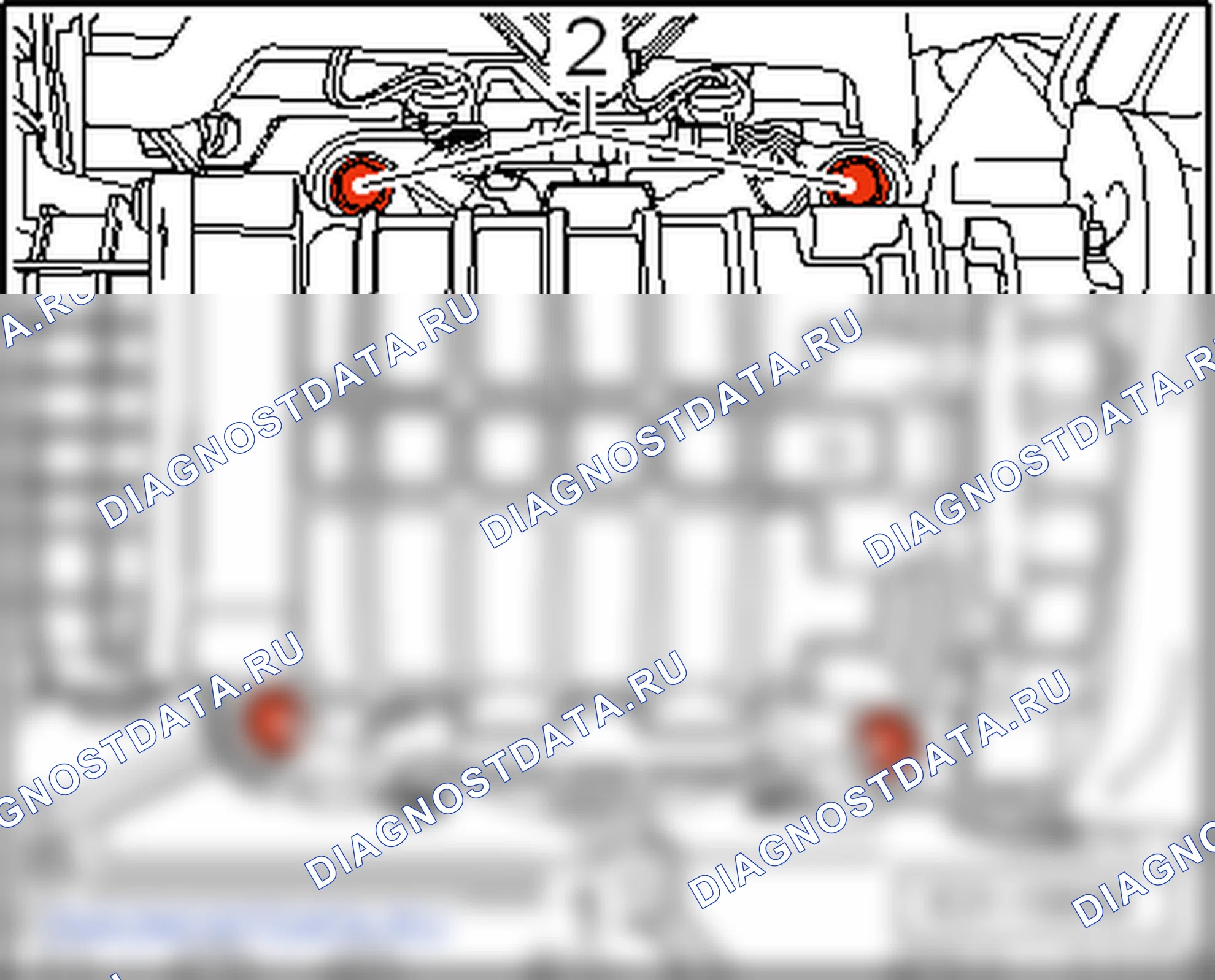 Приводной нагнетатель. SEAT Ibiza IV