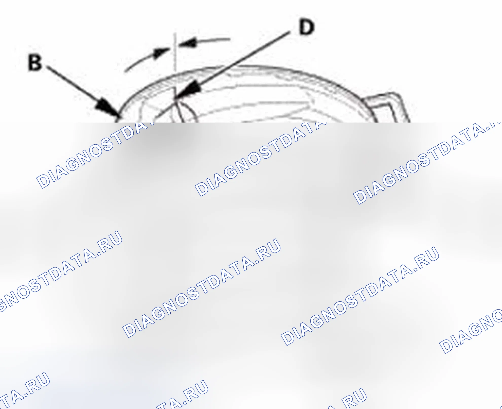 Рис. 216. Honda CR-V IV