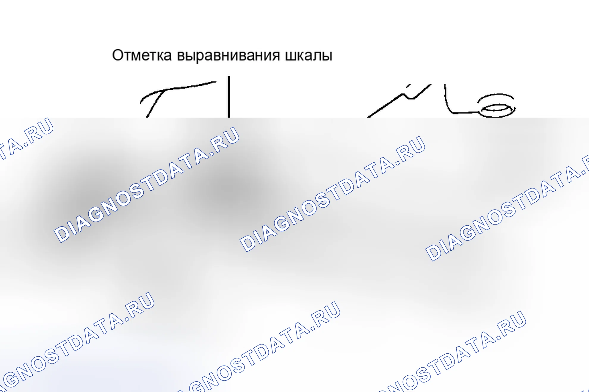 Рис. 2: Задняя часть. Honda XR-V I