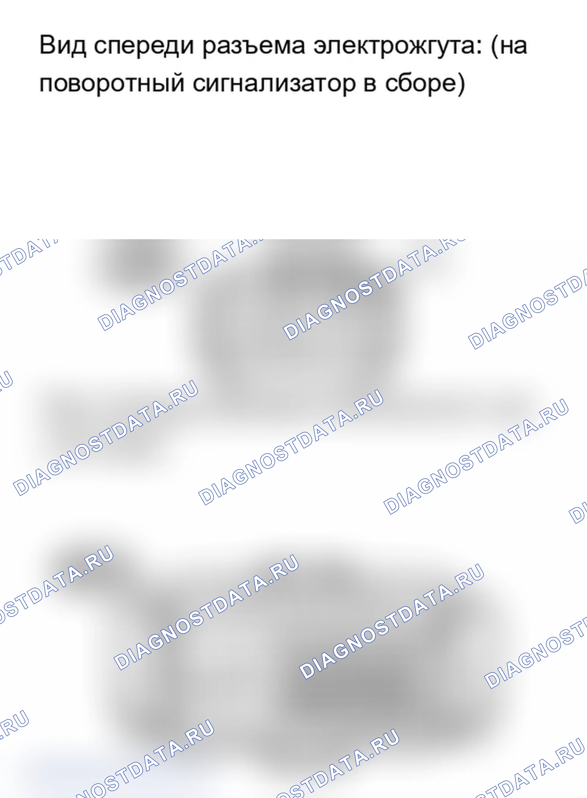 Рис. 217. Lexus IS F I