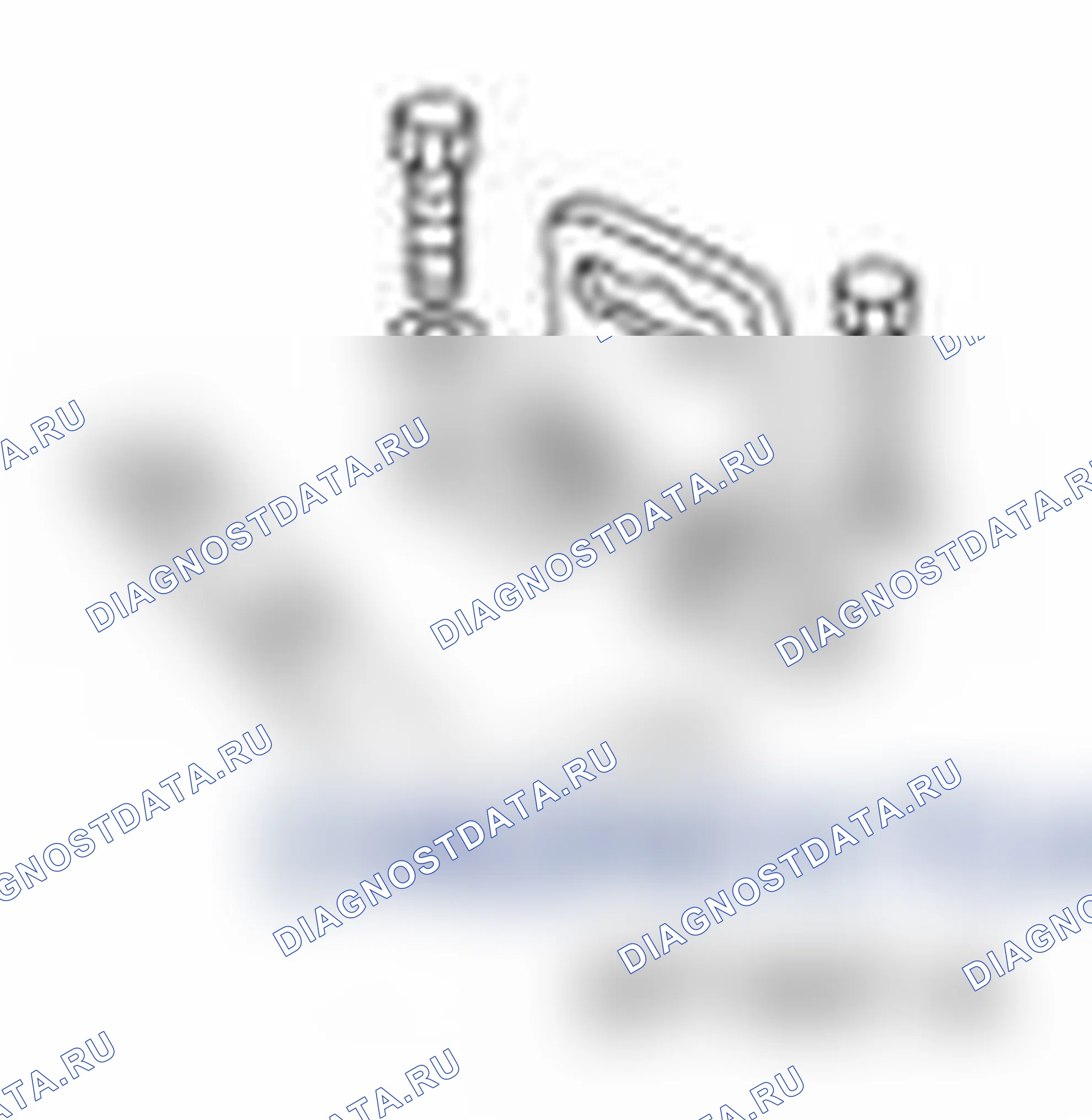Рис. 225. Ford Transit Connect I рестайлинг