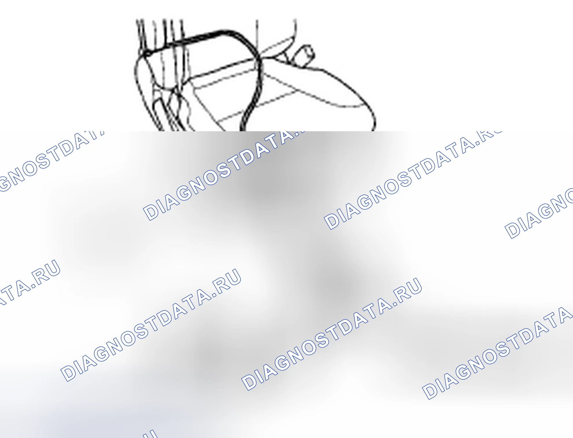 Рис. 83. Honda Element YH2 рестайлинг