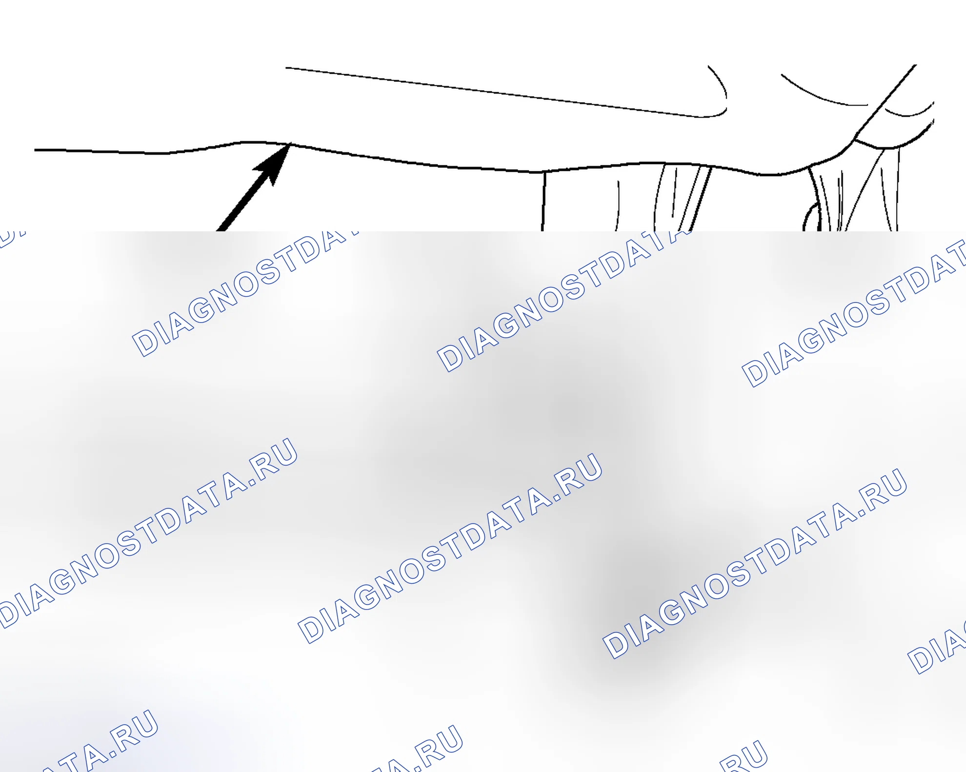 Рис. 379: ГРУЗОВОЙ ПОЛ. Dodge Cab & Chassis R3500 HD transition