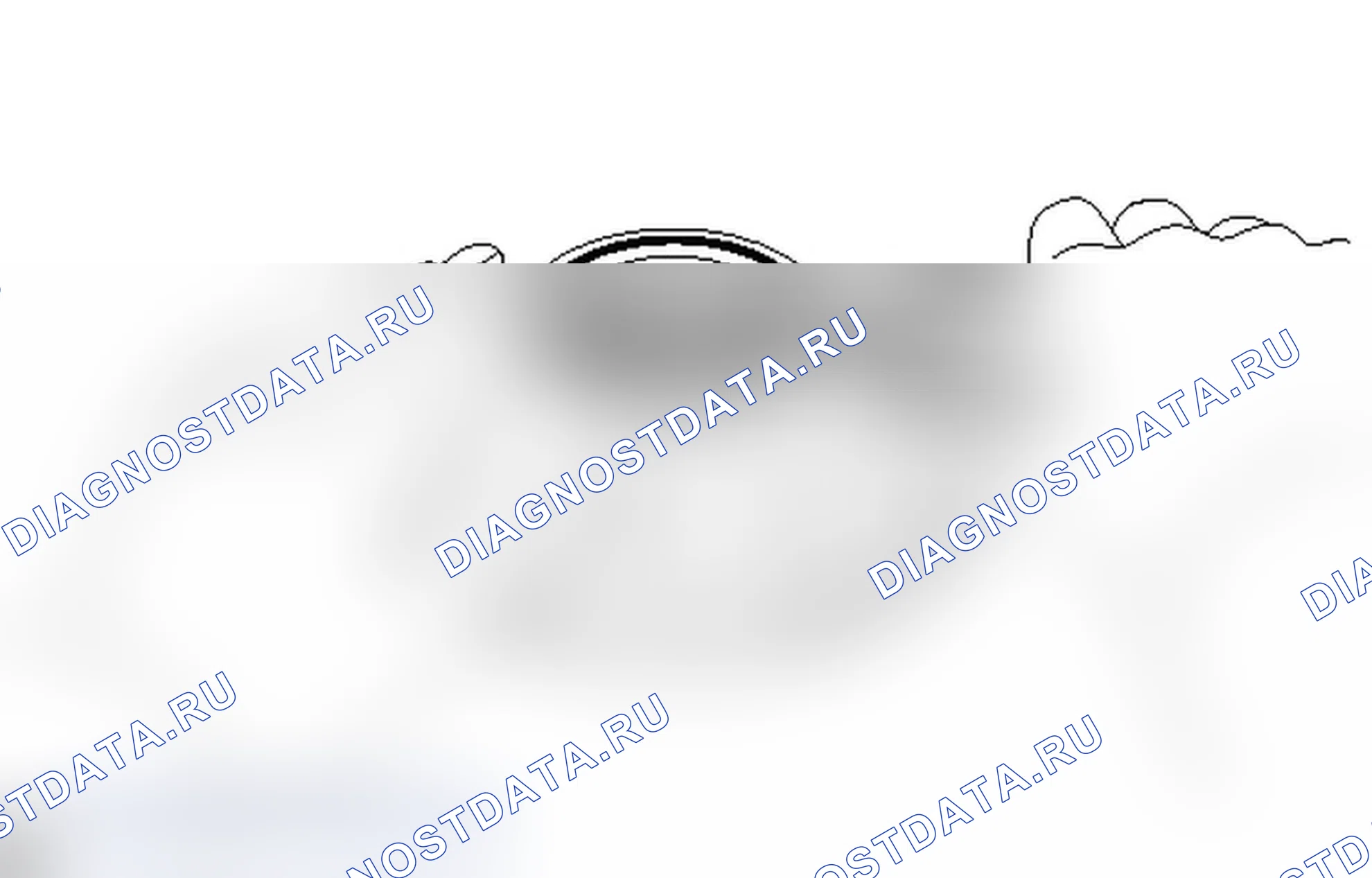 Рис. 353. Lexus IS F I