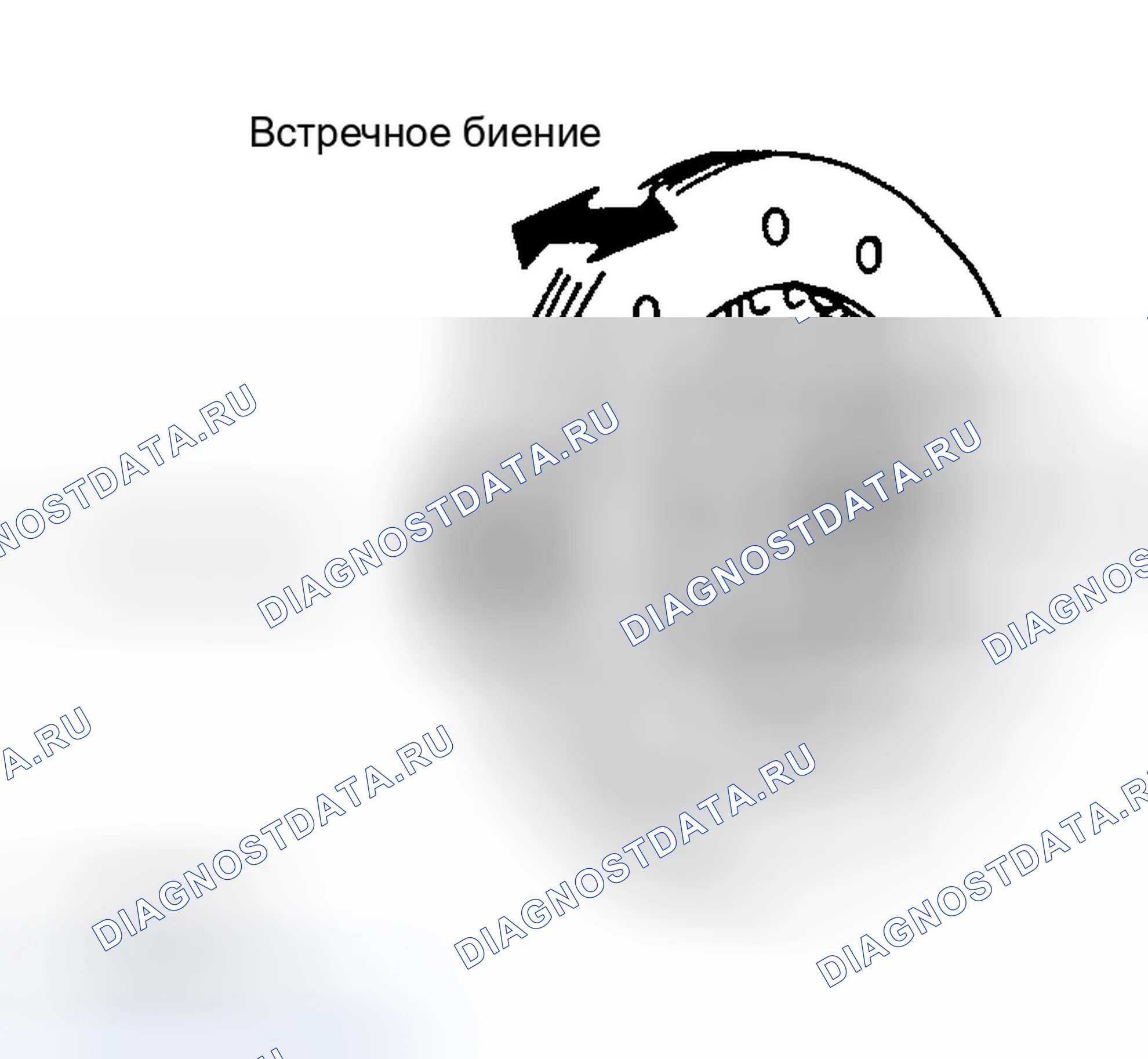 Рис. 65: Диск сцепления. Infiniti G35 III