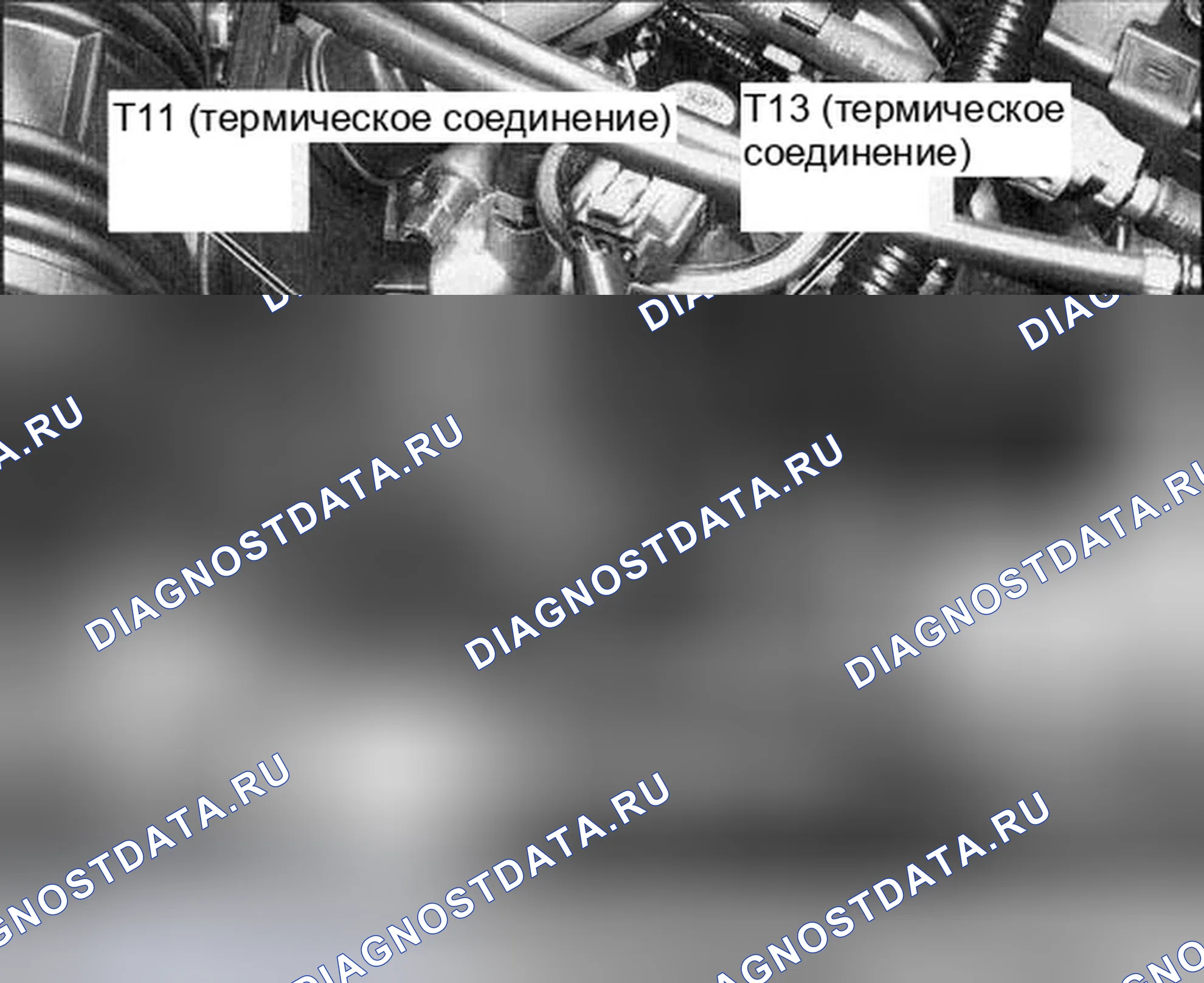 Рис. 301. Honda Accord VII рестайлинг