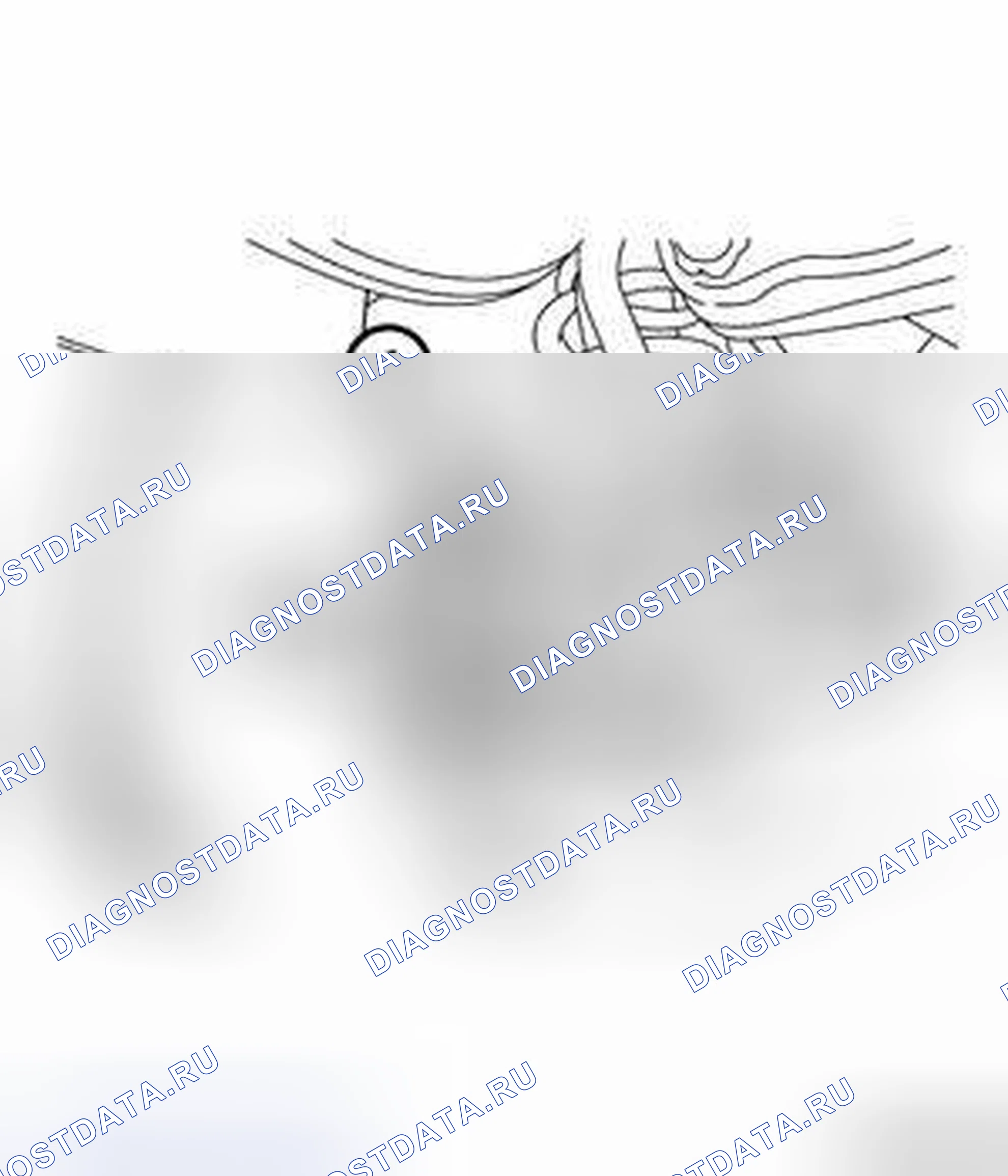 Рис. 16. Jeep Cherokee V рестайлинг