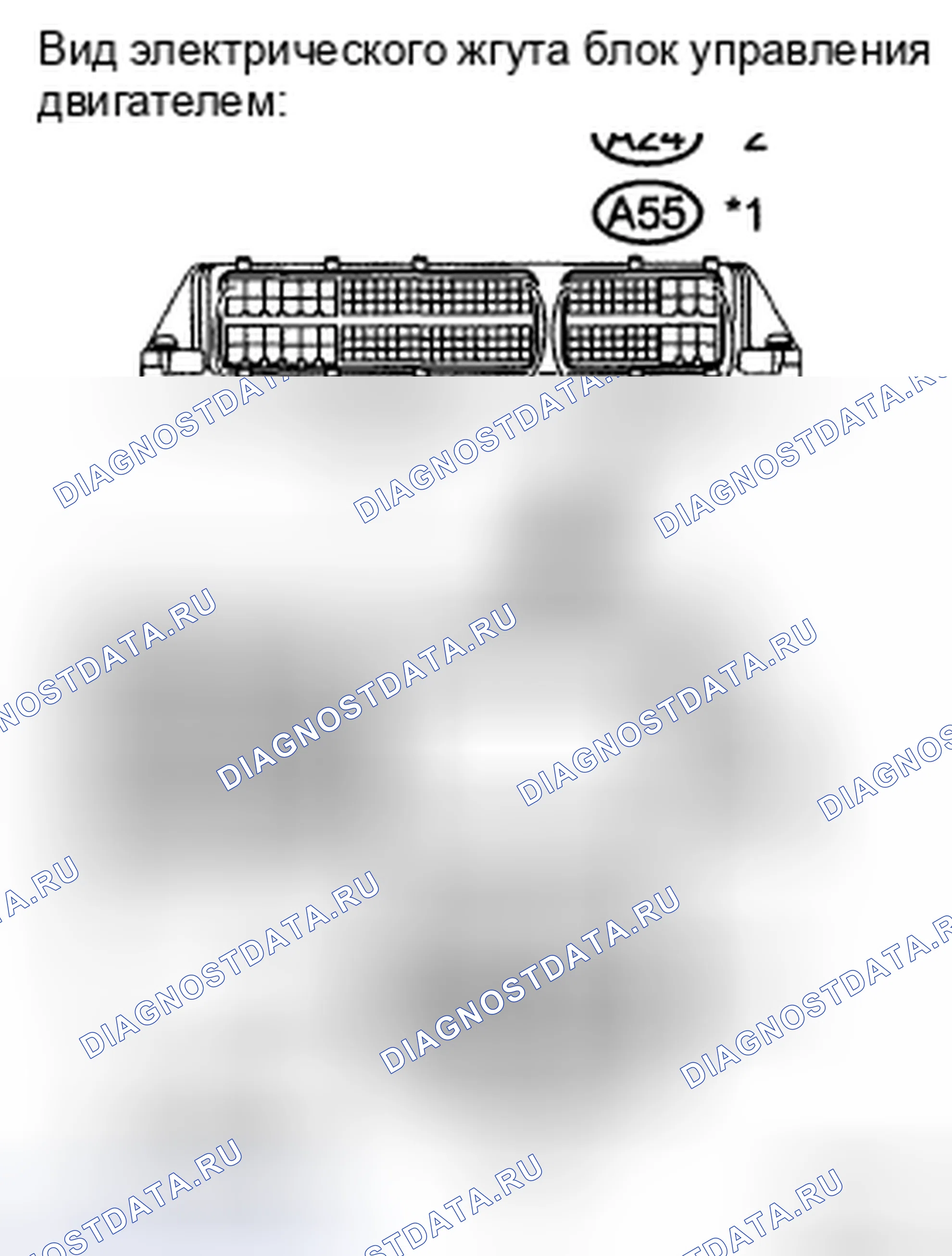 Рис. 5. Toyota Camry XV40