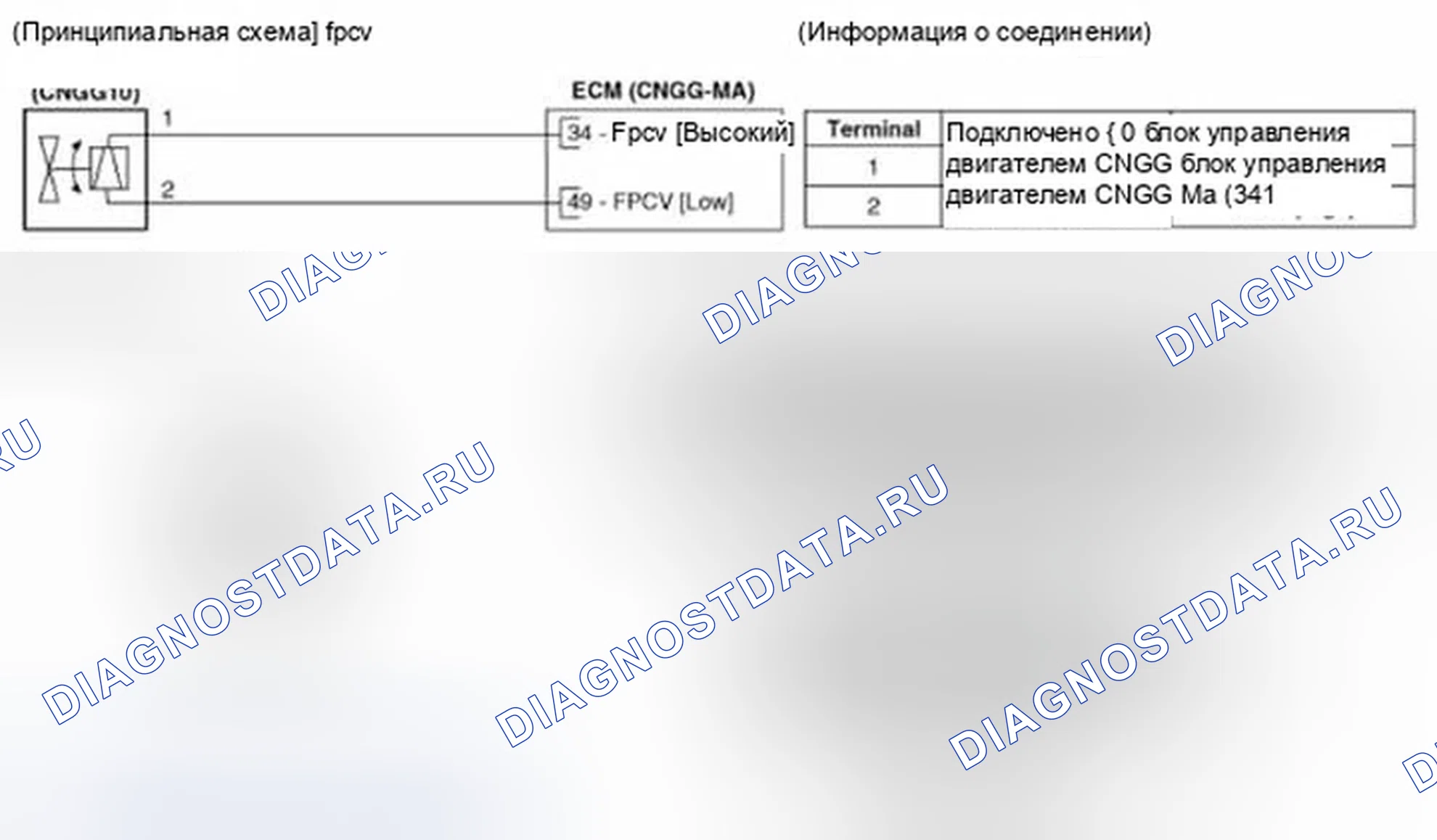 Рис. 234: (M / T). Hyundai Veloster I