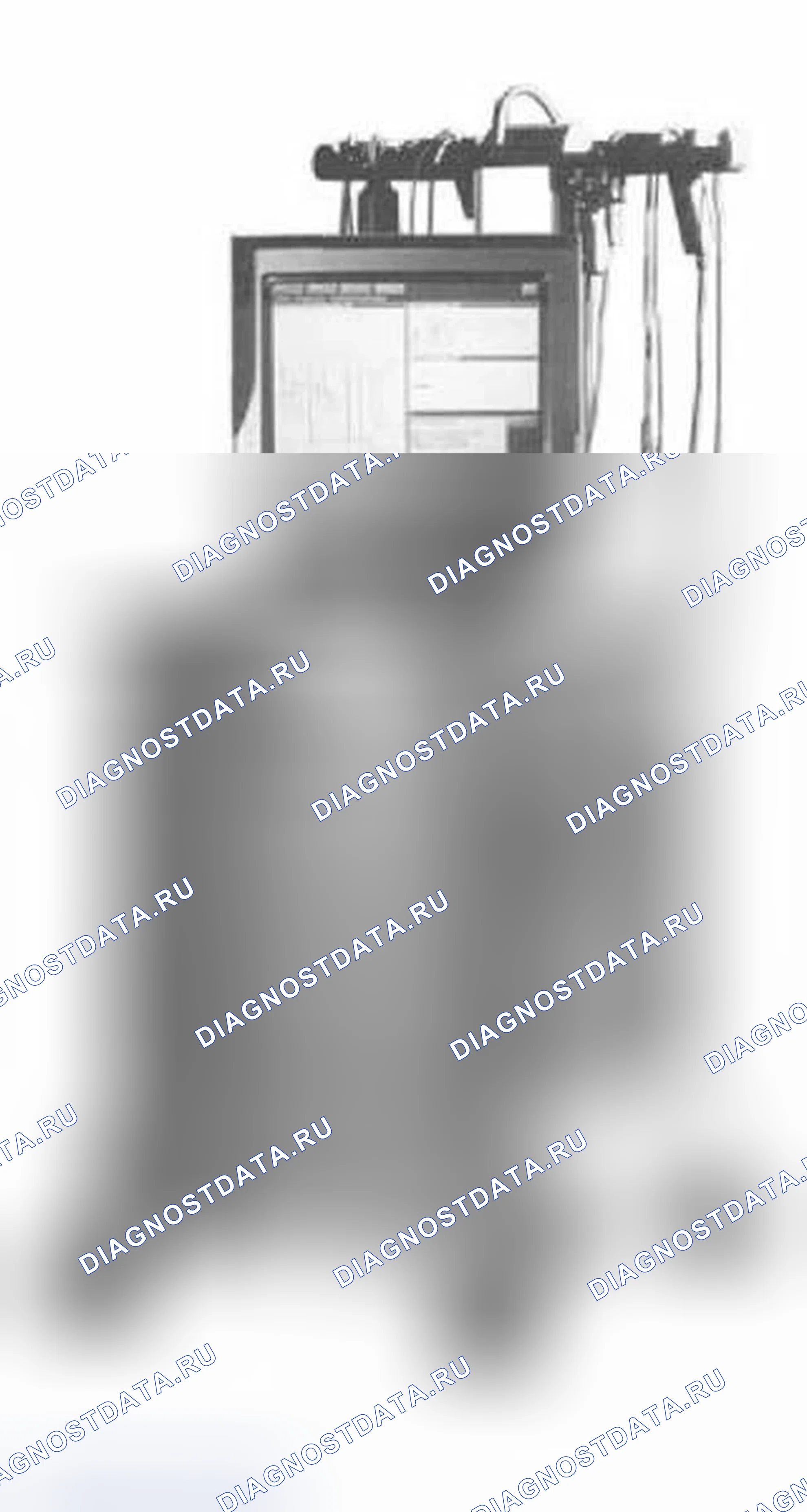 Рис. 457: Диагностическая и информационная система (DIS). BMW X5 E53 рестайлинг