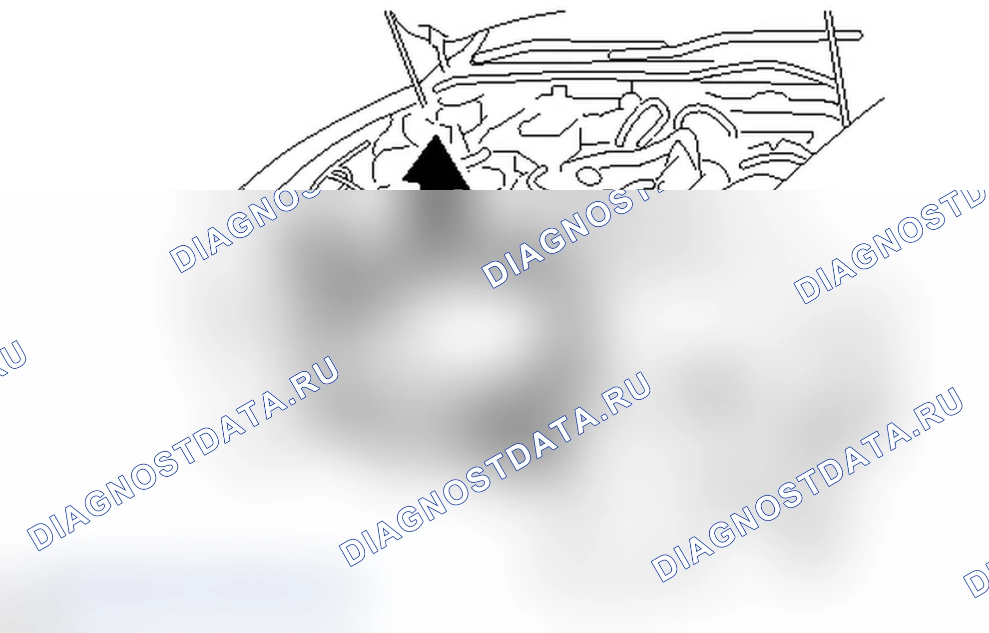 Рис. 54. Lexus IS F I