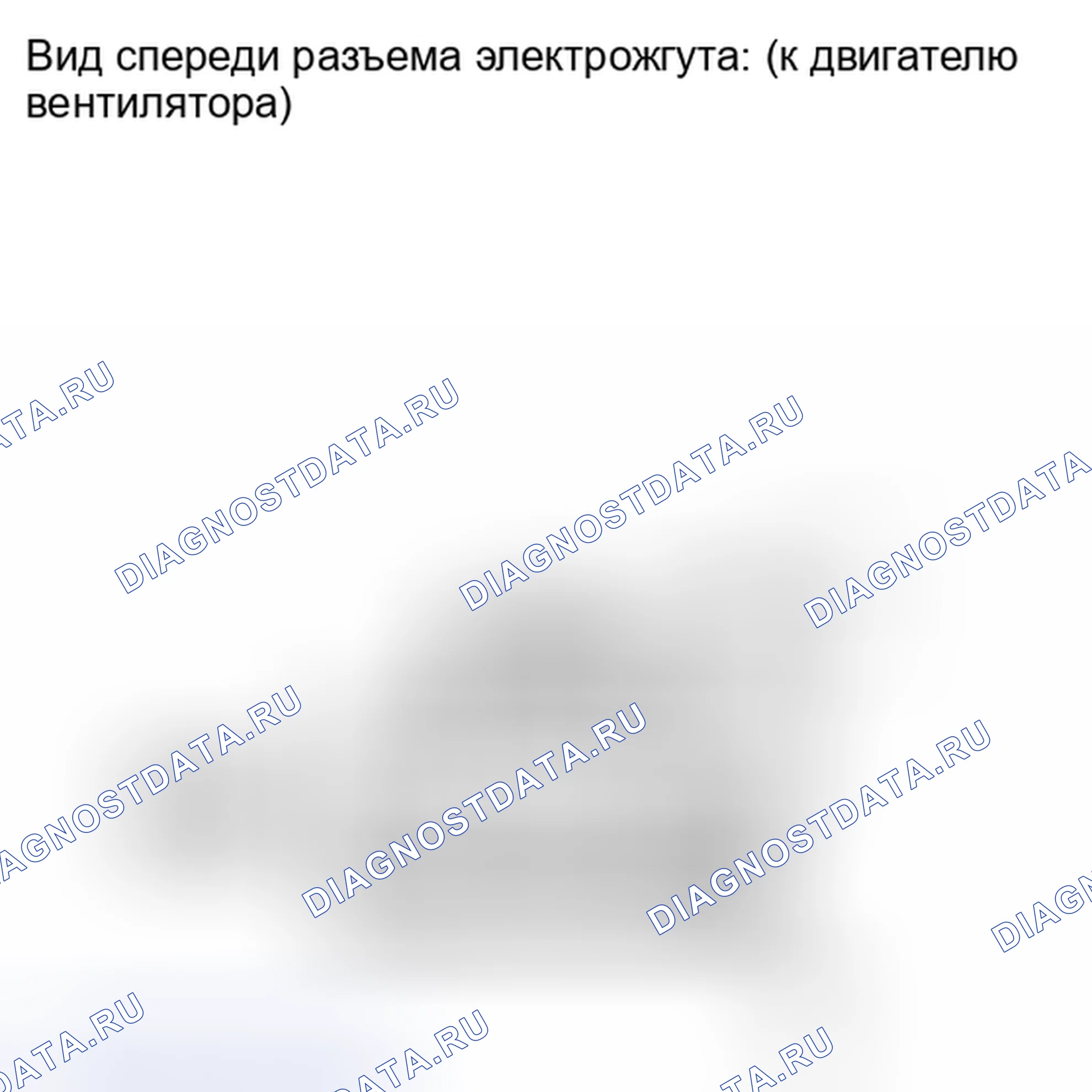 Рис. 177. Lexus IS F I