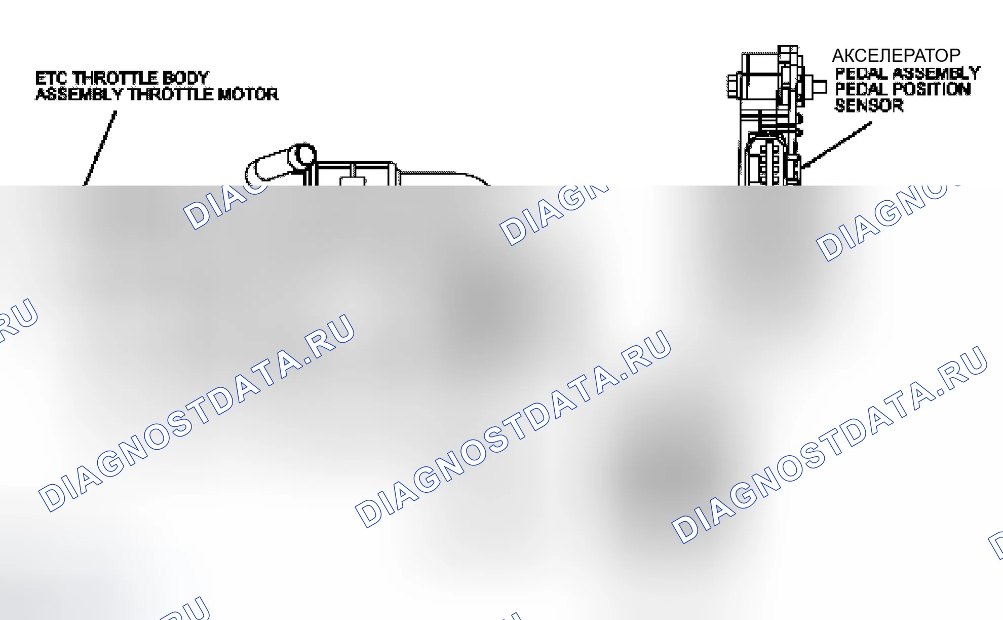 Рис. 107: Датчики положения педали акселератора (APP). Ford Mustang V