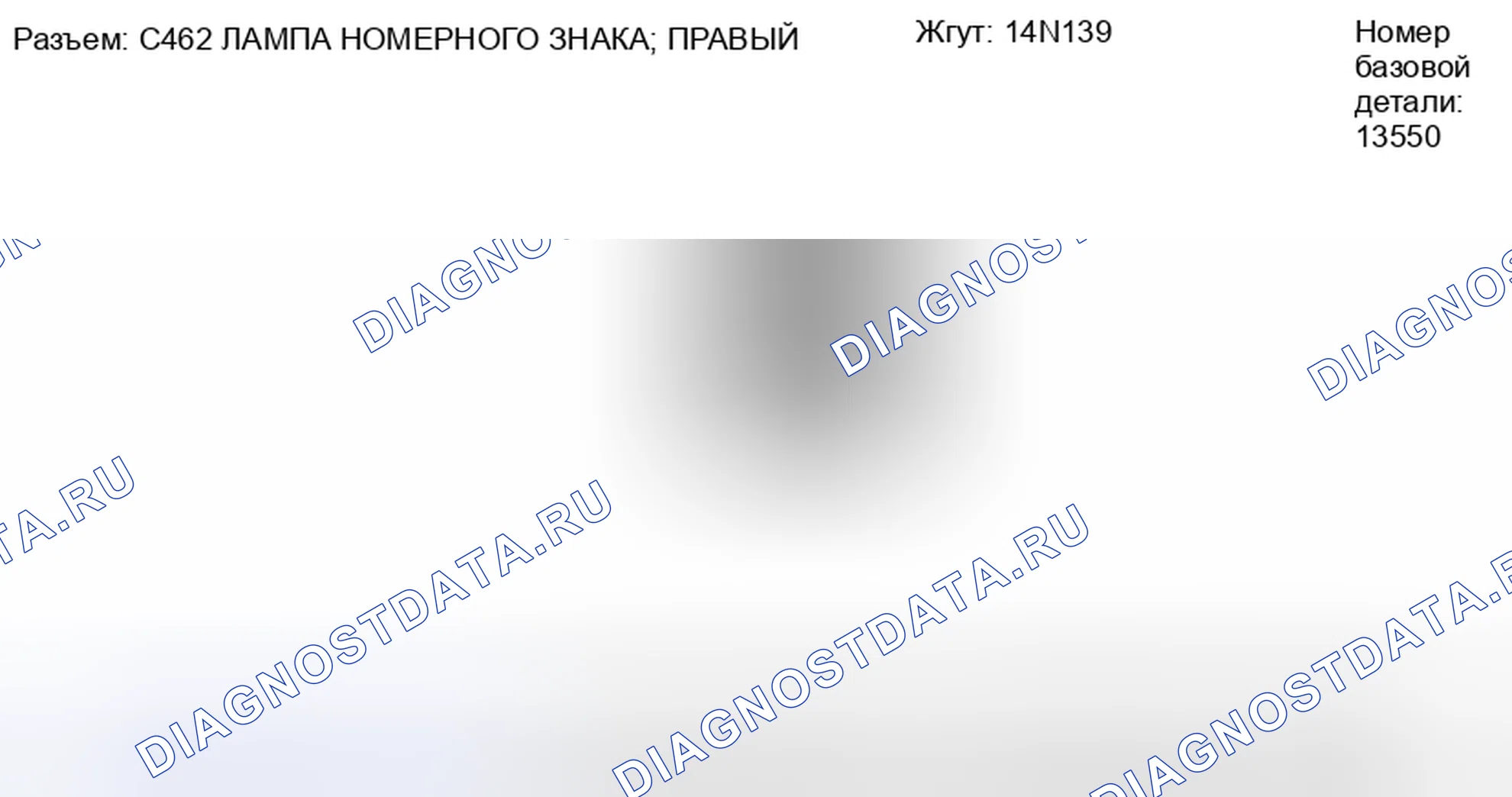 Рис. 135: Вид с торца разъема лампы правого номерного знака (C462). Hyundai Lafesta I рестайлинг