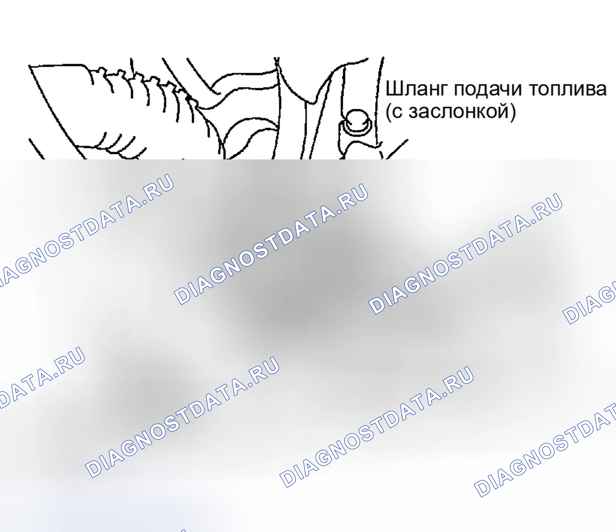 Рис. 1259: ДЕМОНТАЖ. Infiniti G35 III
