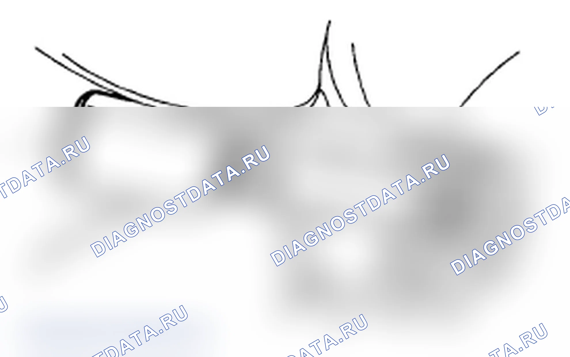 Рис. 60. Subaru Impreza WRX STI GR