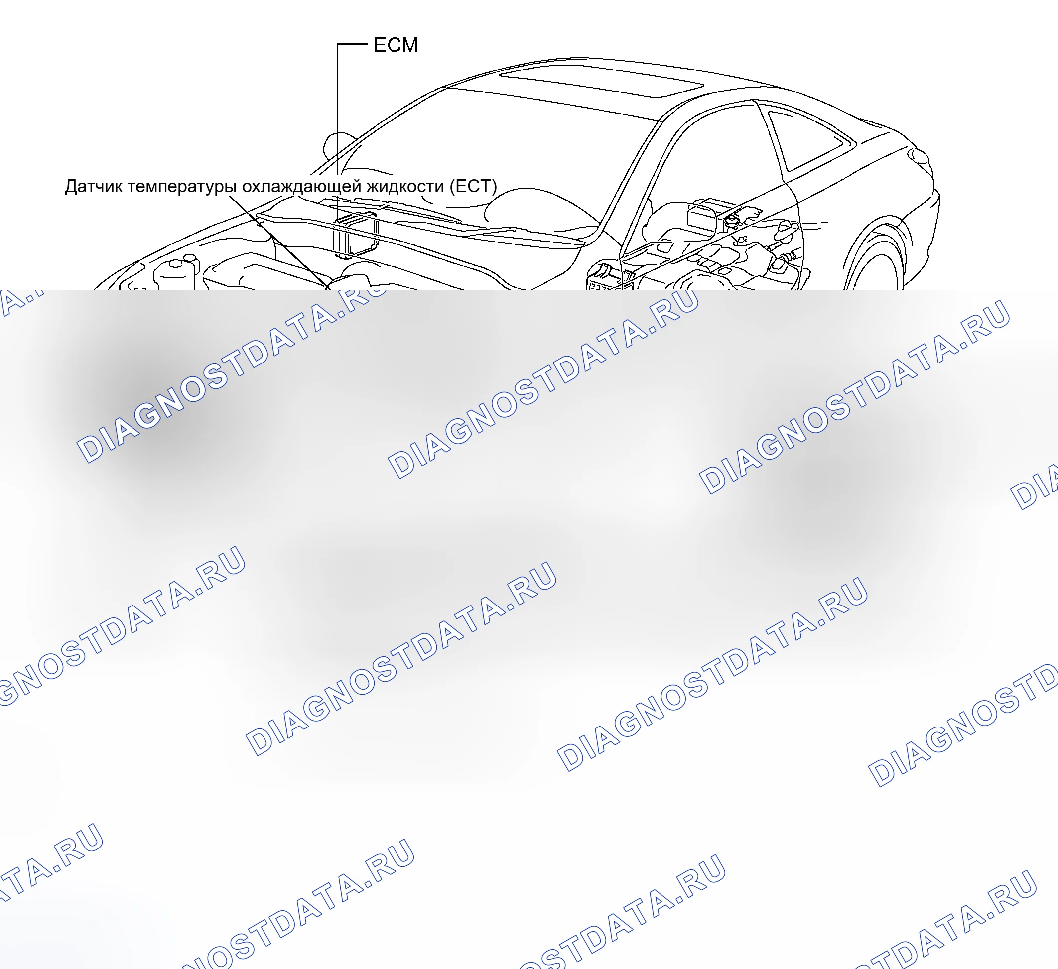 Рис. 3: РАСПОЛОЖЕНИЕ ДЕТАЛЕЙ. Toyota Camry Solara II