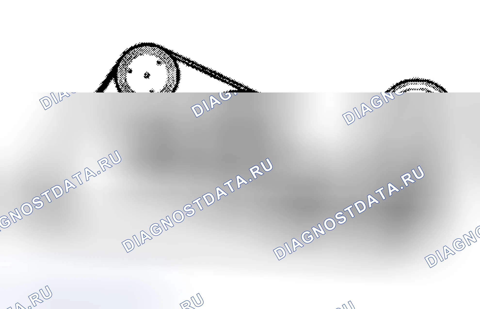 Рис. 10: ПРОКЛАДКА ПРИВОДНОГО РЕМНЯ. Audi A8 D3