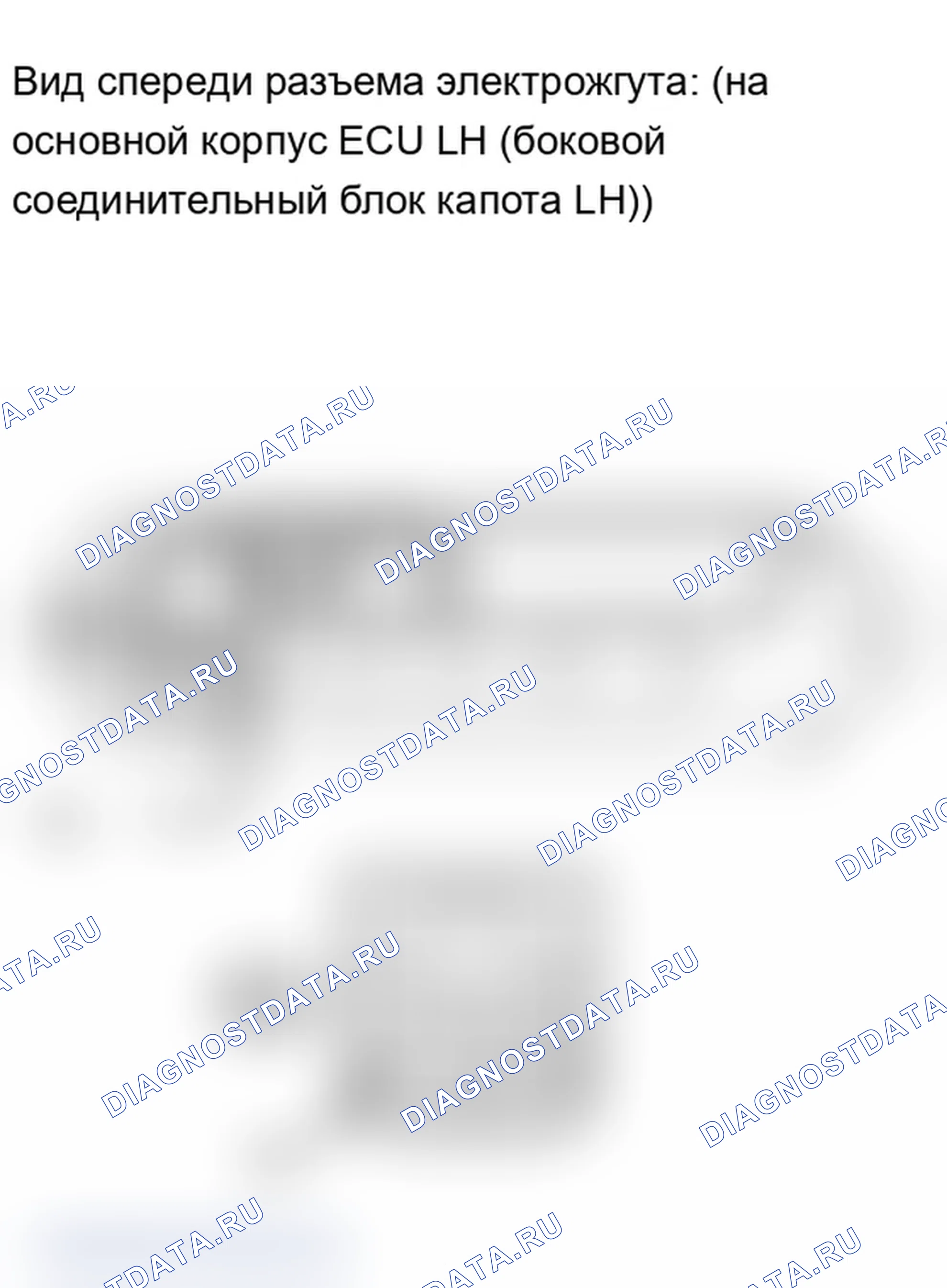 Рис. 80. Lexus IS F I