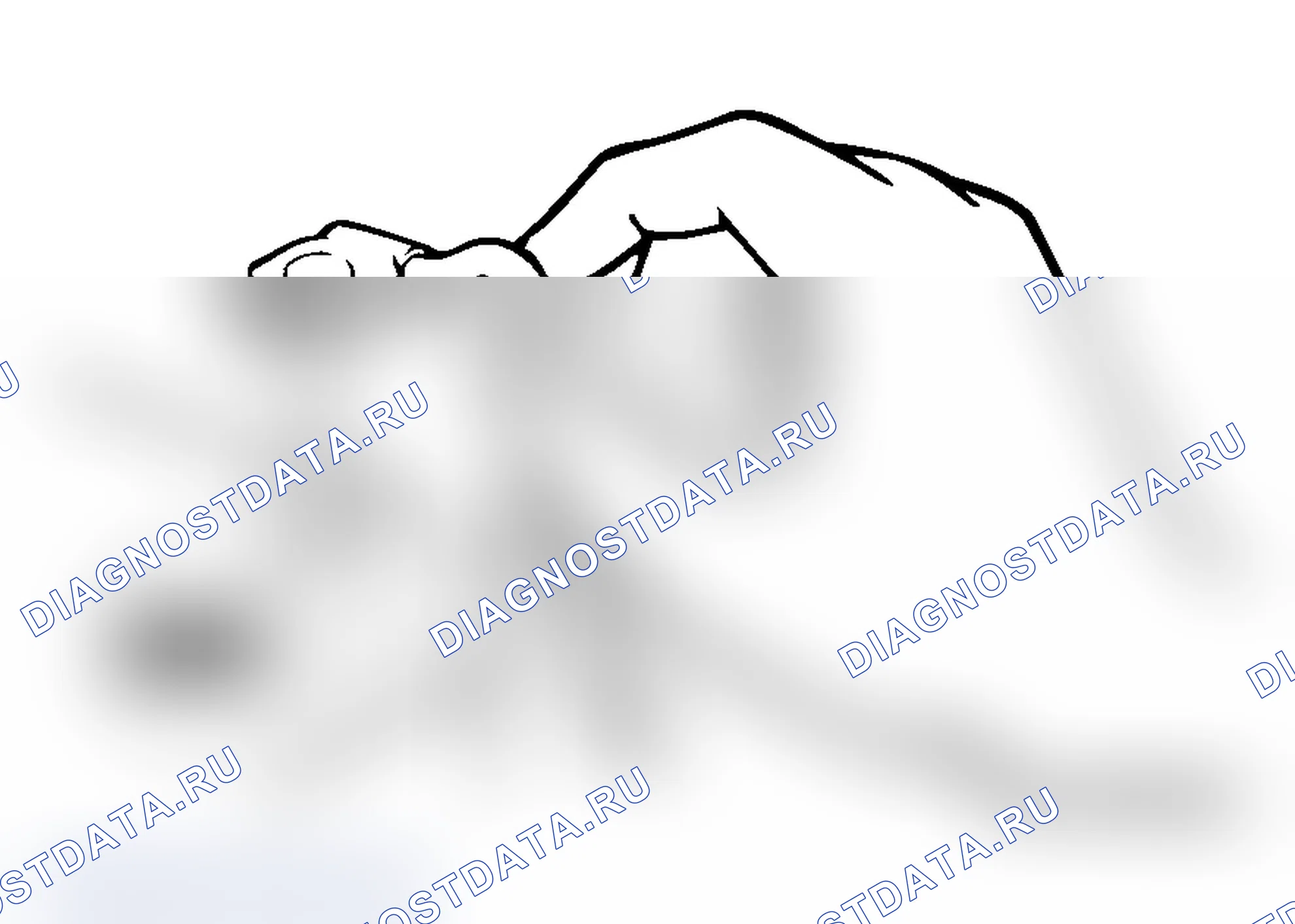 Рис. 23. Mitsubishi Lancer Evolution IX