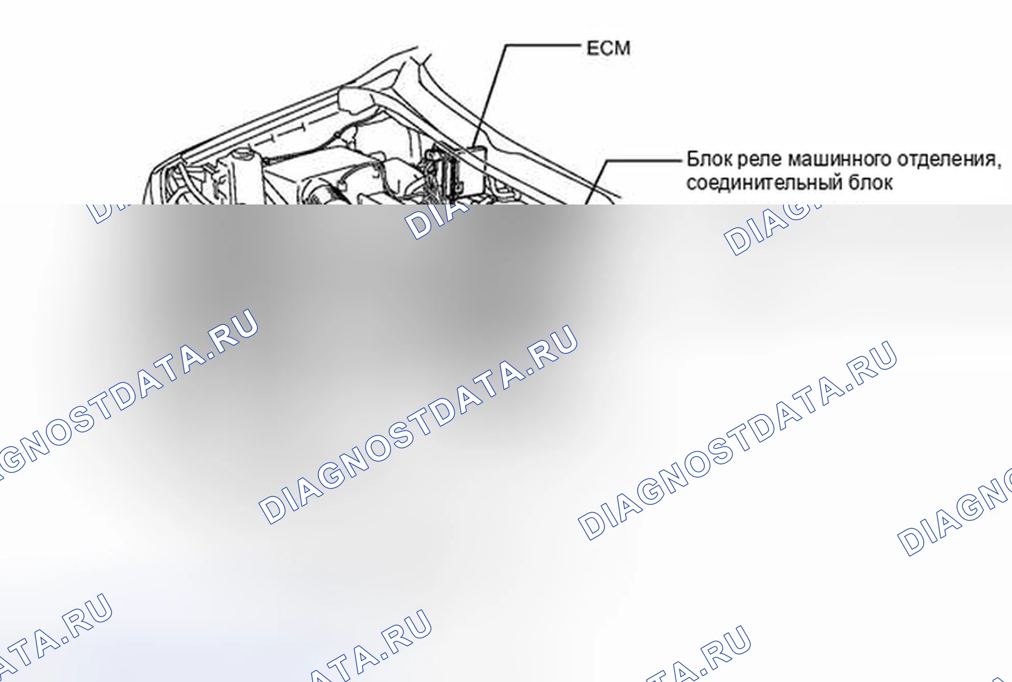 Рис. 10: ИЛЛЮСТРАЦИЯ. Toyota Tundra II
