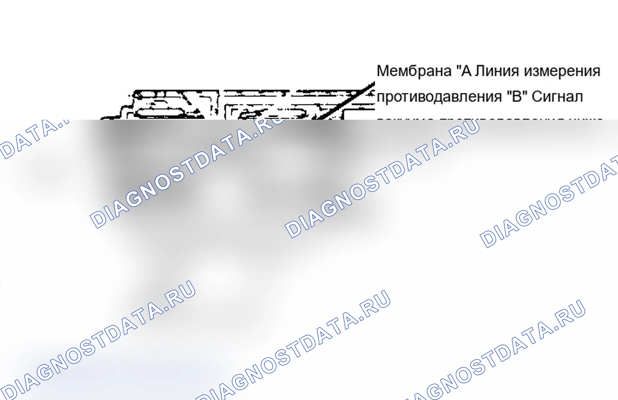 Рис. 101: Система рециркуляция отработавших газов датчика переменного противодавления (BVT). Mercury Sable I