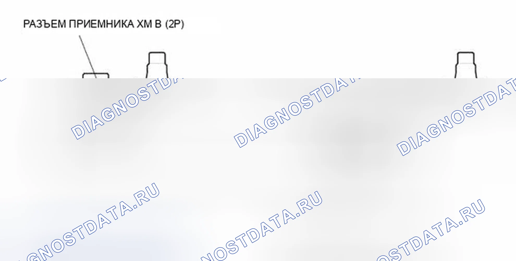Рис. 43: Входы и выходы разъема приемника Xm (с Xm). Honda Element YH2 рестайлинг 2