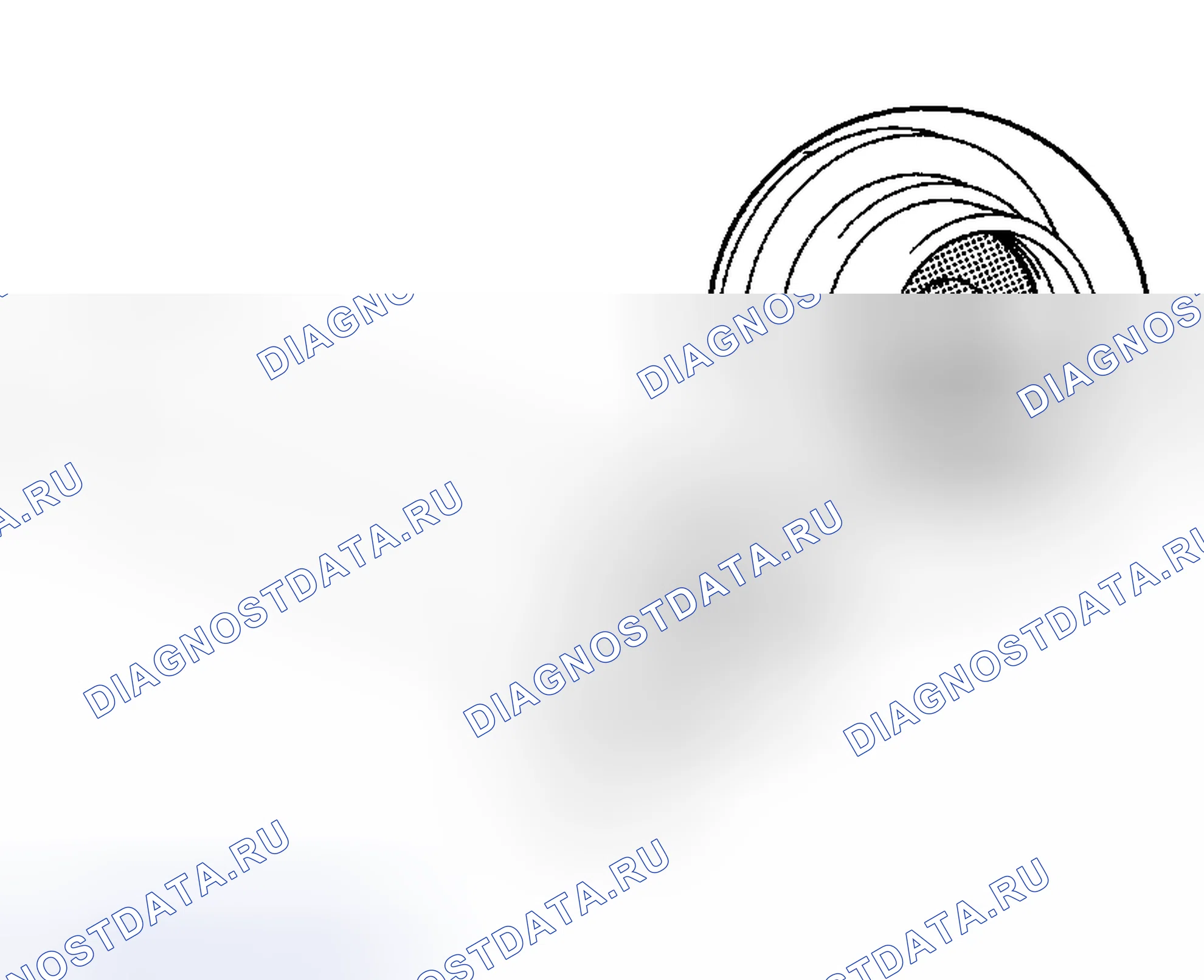 Рис. 40. Haval Xiaolong Max I