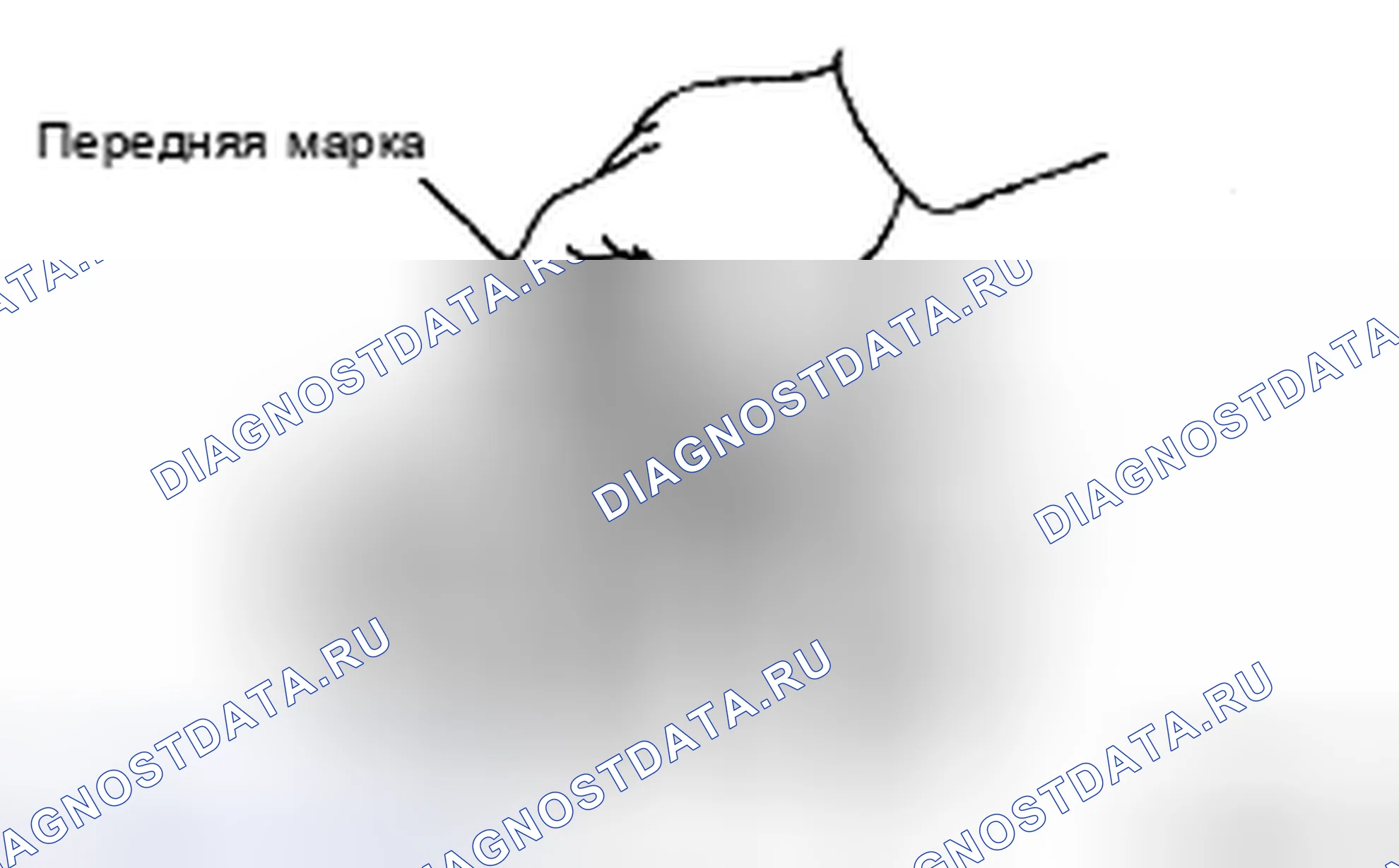 Рис. 307. Toyota Camry XV40