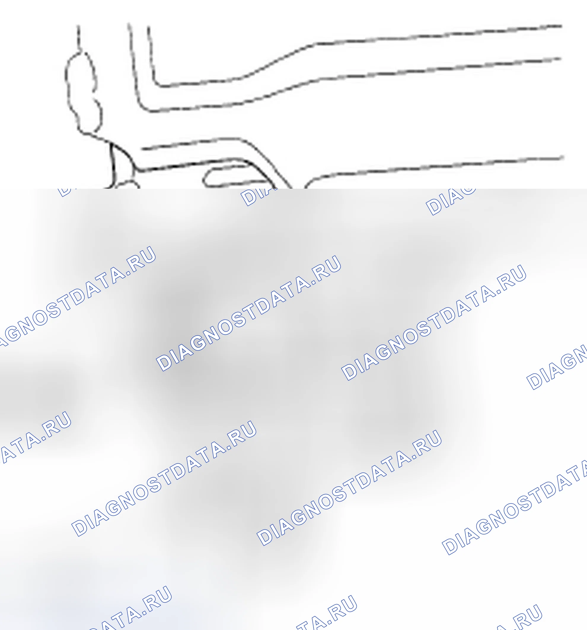 Рис. 179. Acura TSX I