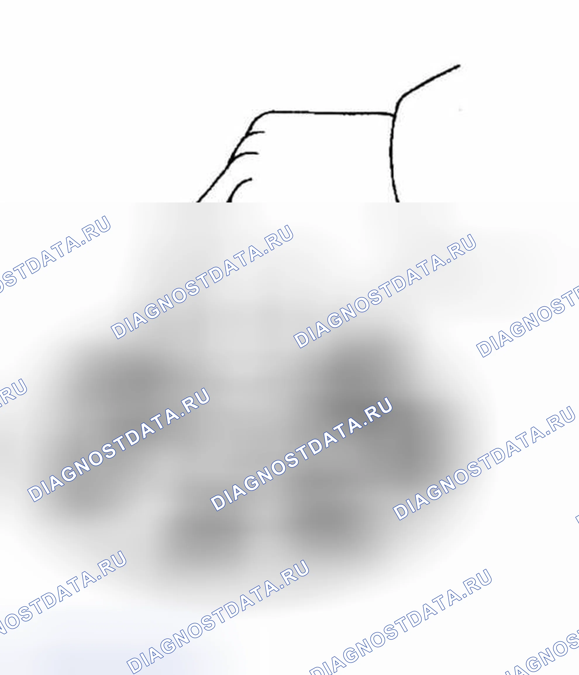 Рис. 81: ПРОЦЕДУРА КОНТРОЛЯ. Haval H5 I