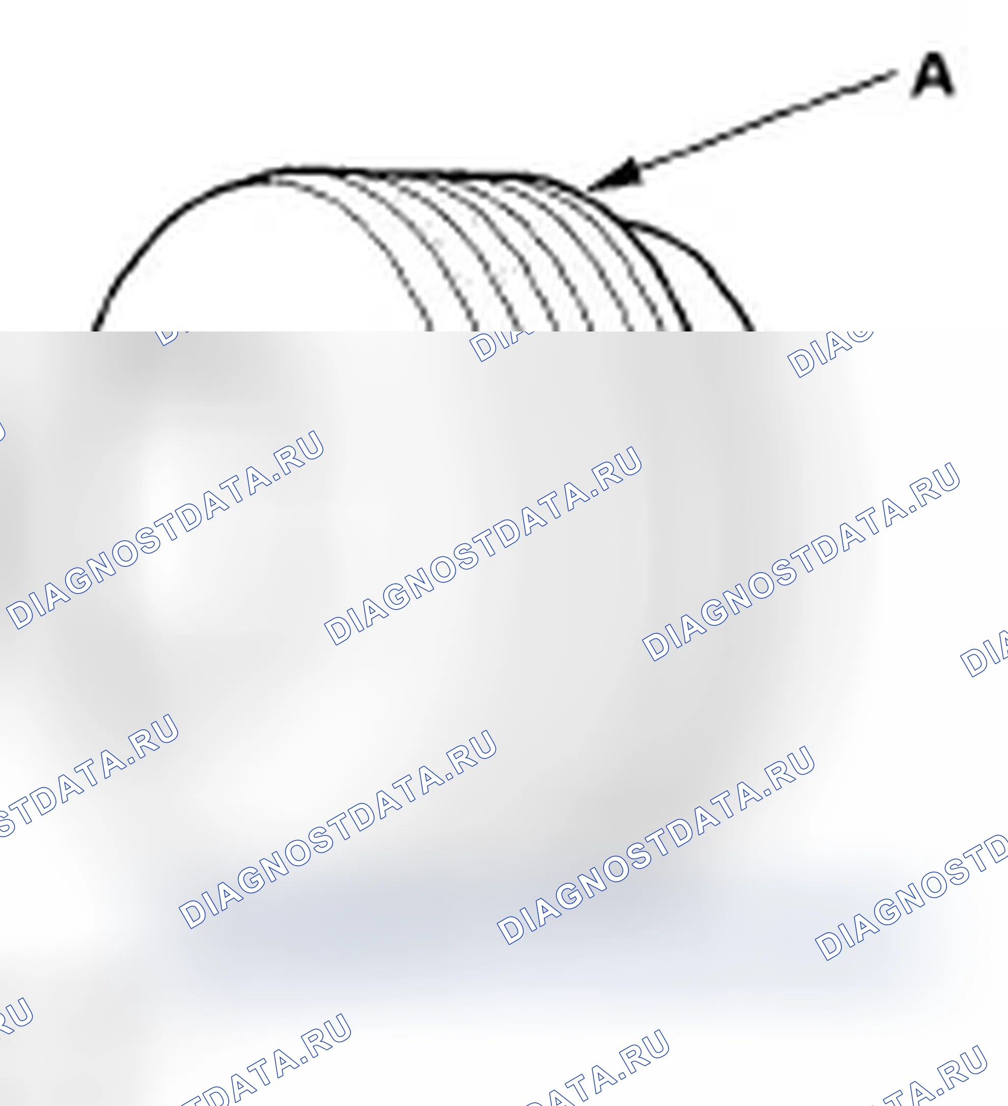 Рис. 6. Honda Fit I