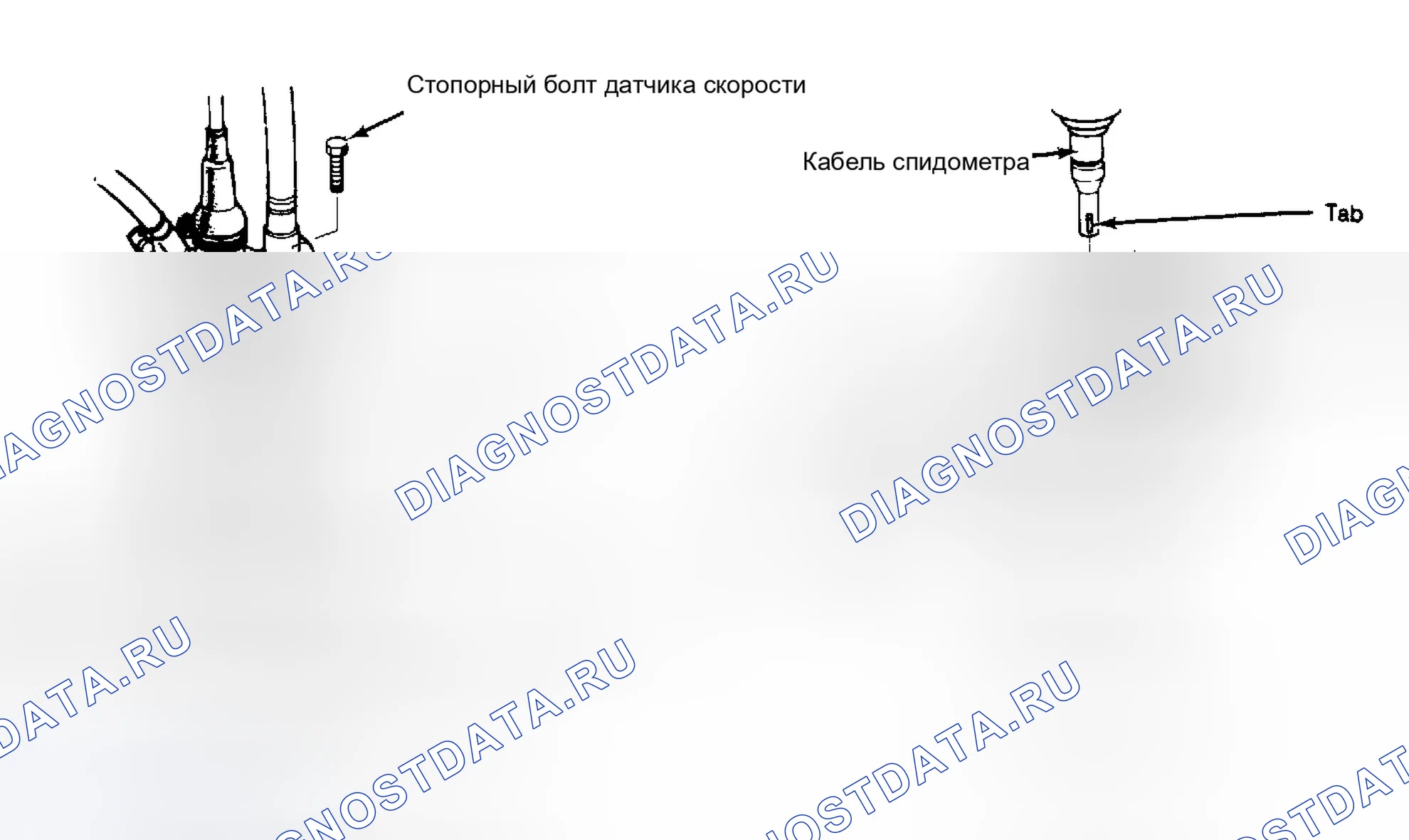 Рис. 2. Honda Accord III