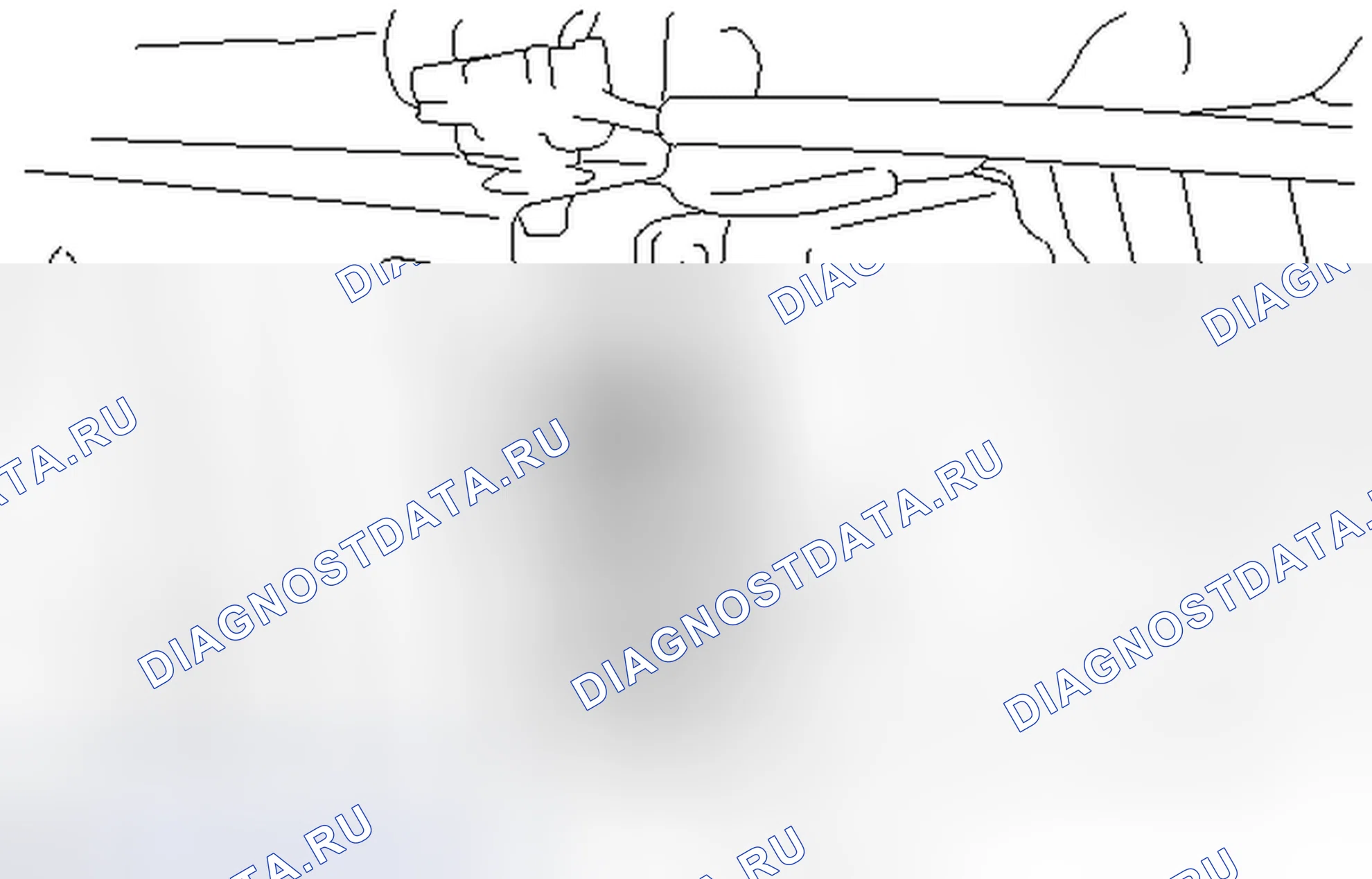 Рис. 413: ПОРЯДОК ВЫПОЛНЕНИЯ РАБОТ. Toyota Camry XV50