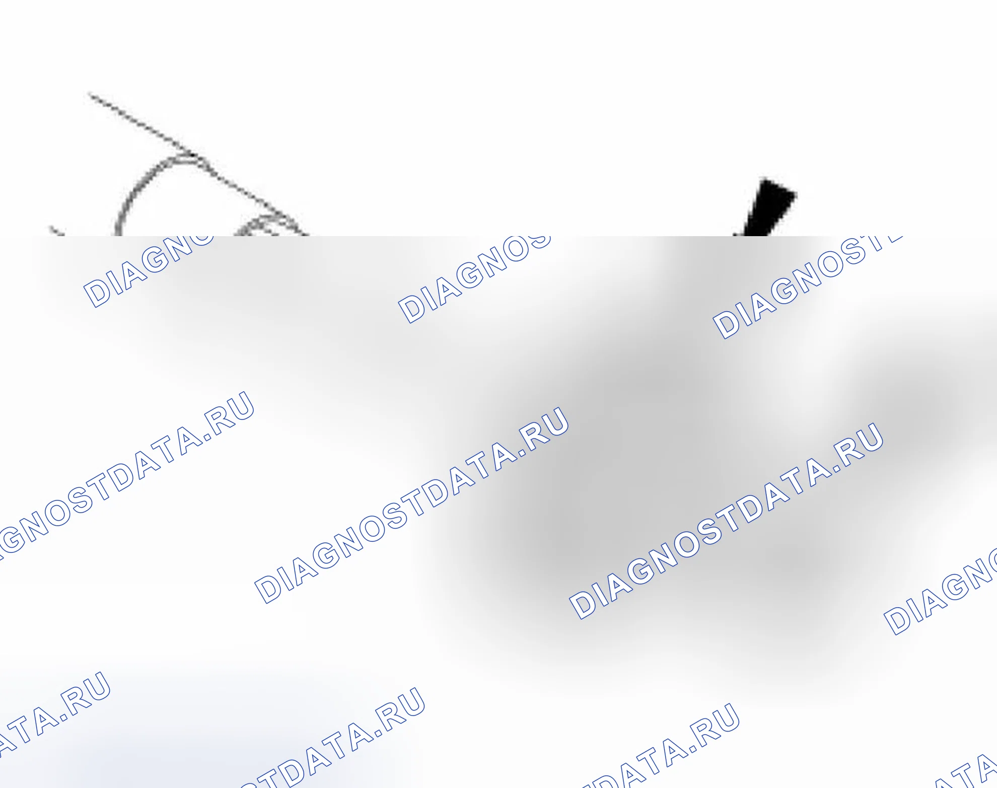 Рис. 260. Ford Focus I рестайлинг