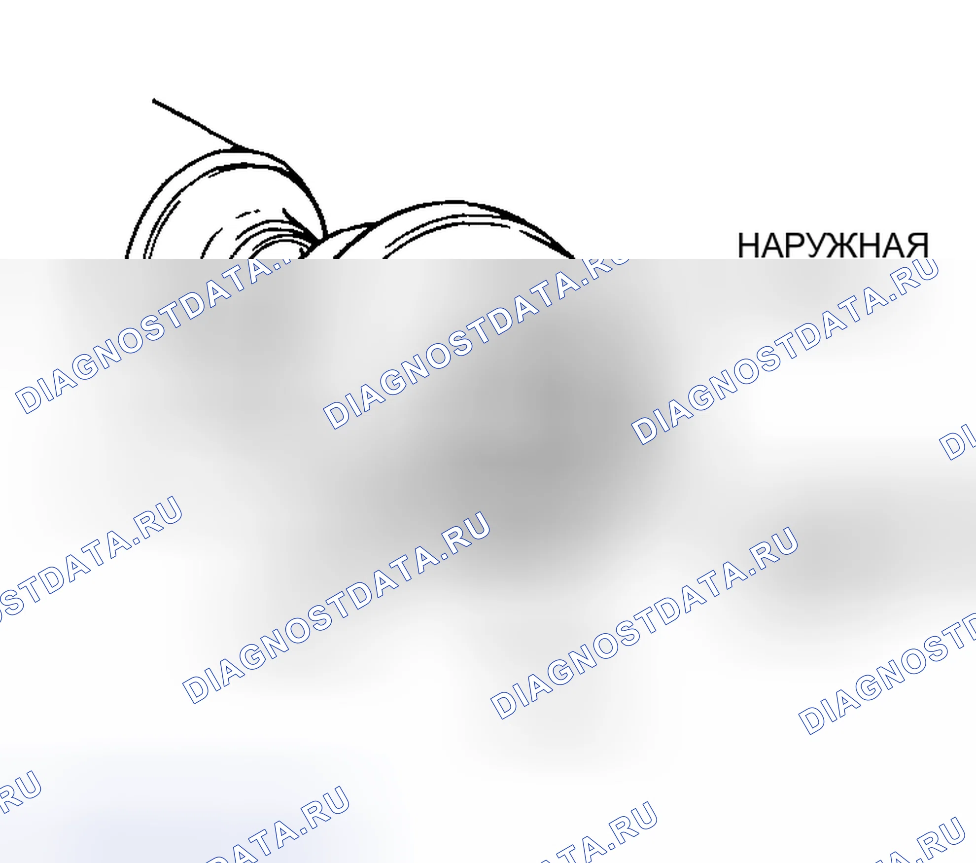Рис. 19. Honda Edix I