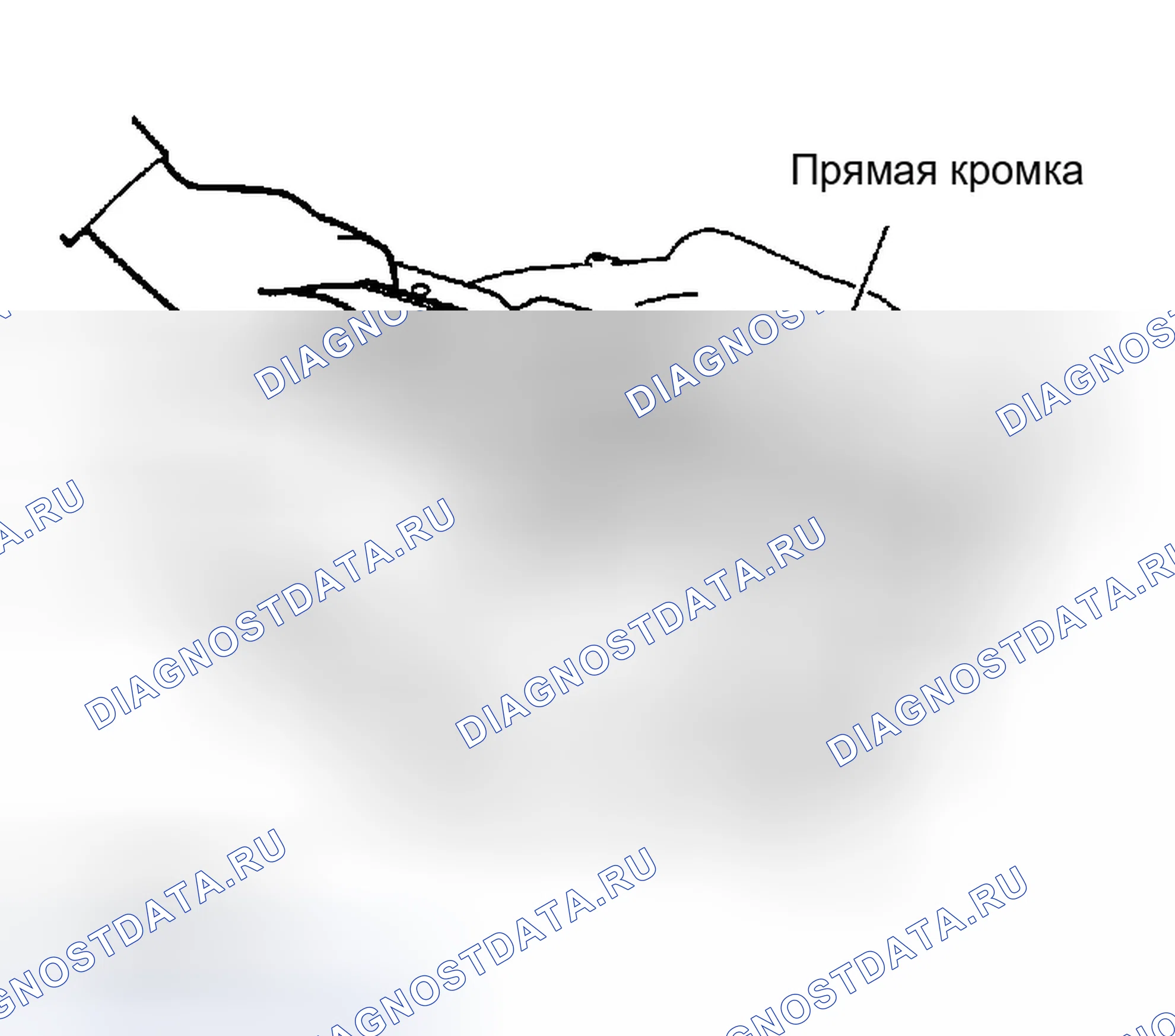 Рис. 1364. Infiniti G35 III