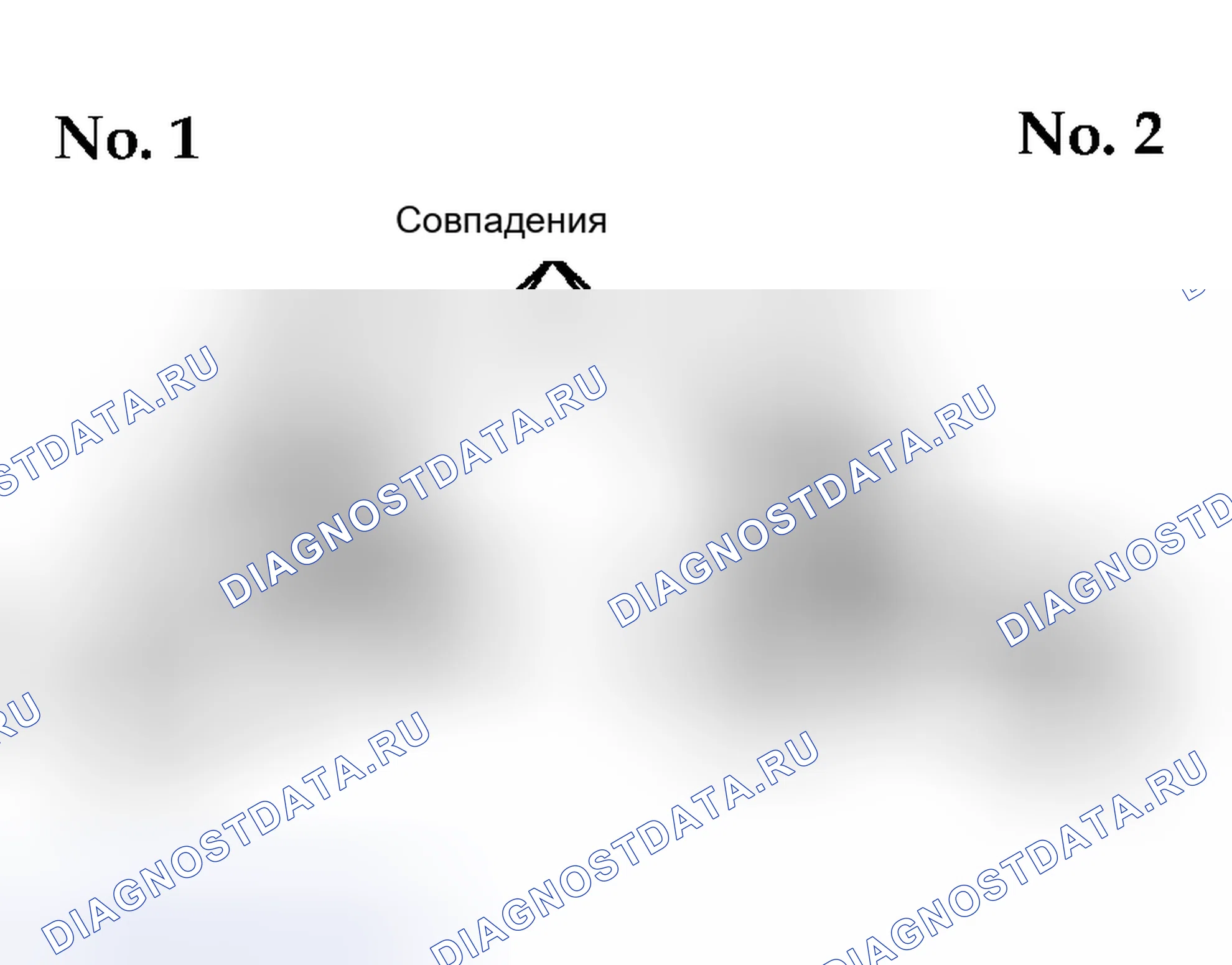 Рис. 40: № 1 и 2 Метки соответствия жилья. Toyota Previa I